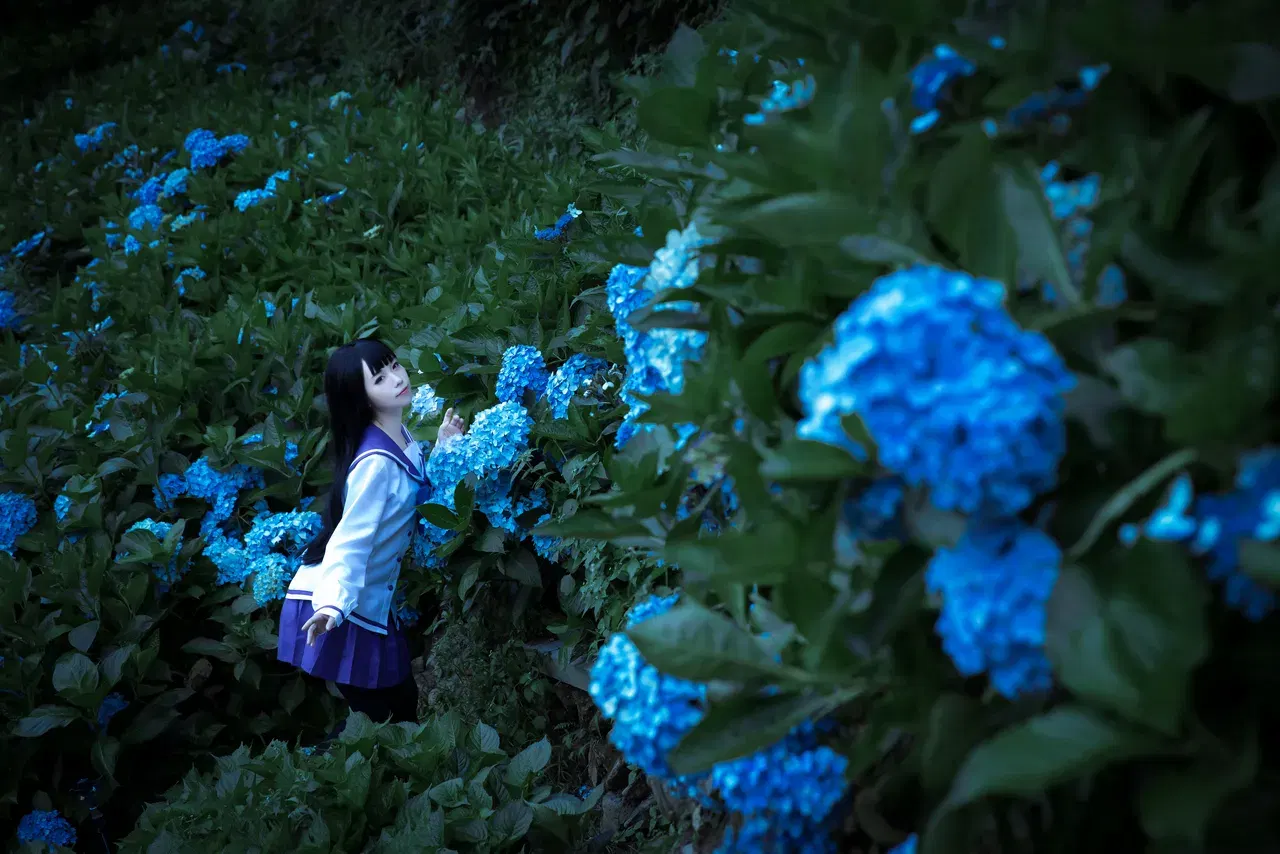 Image #14