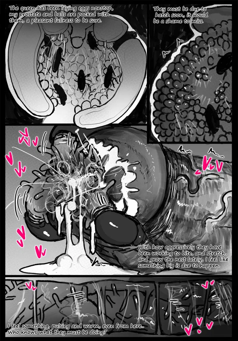 Image #12