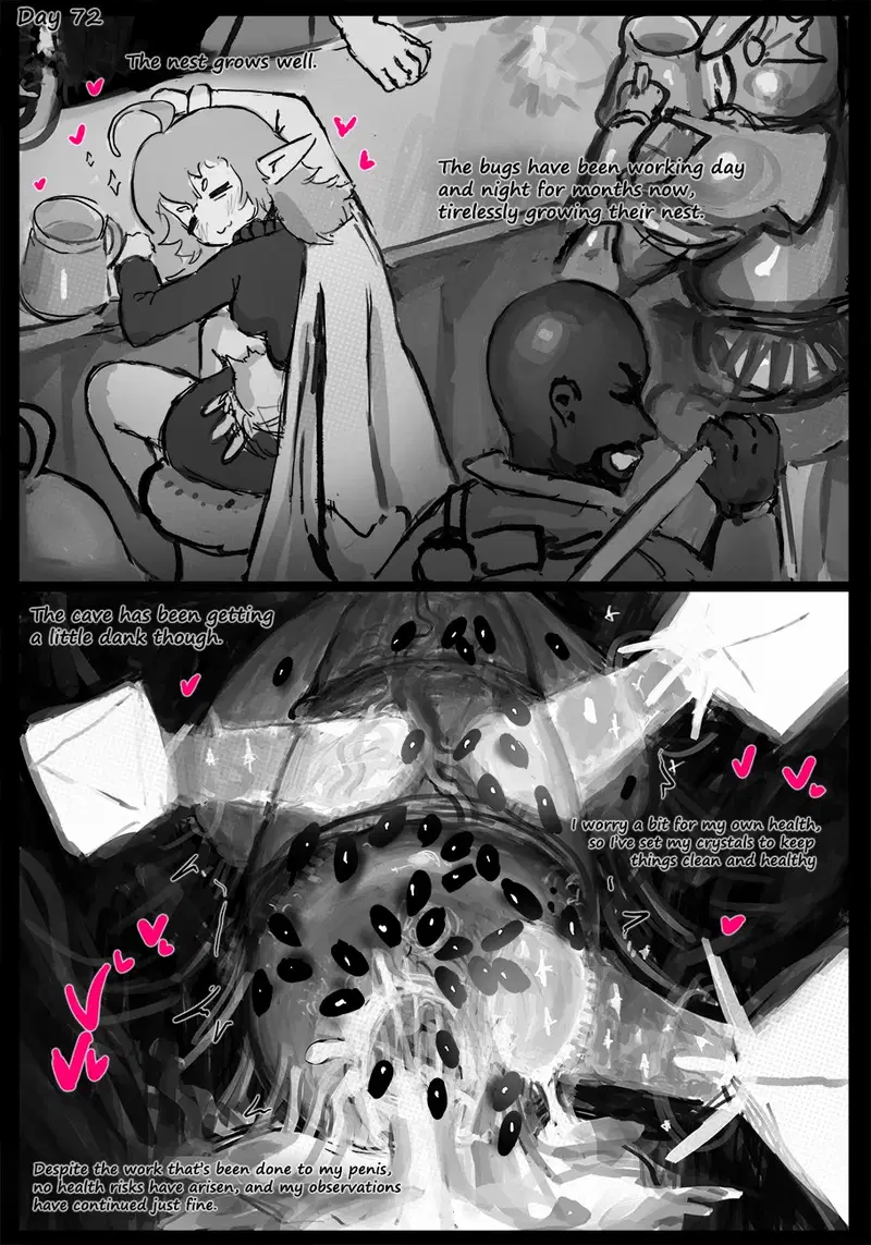 Image #15