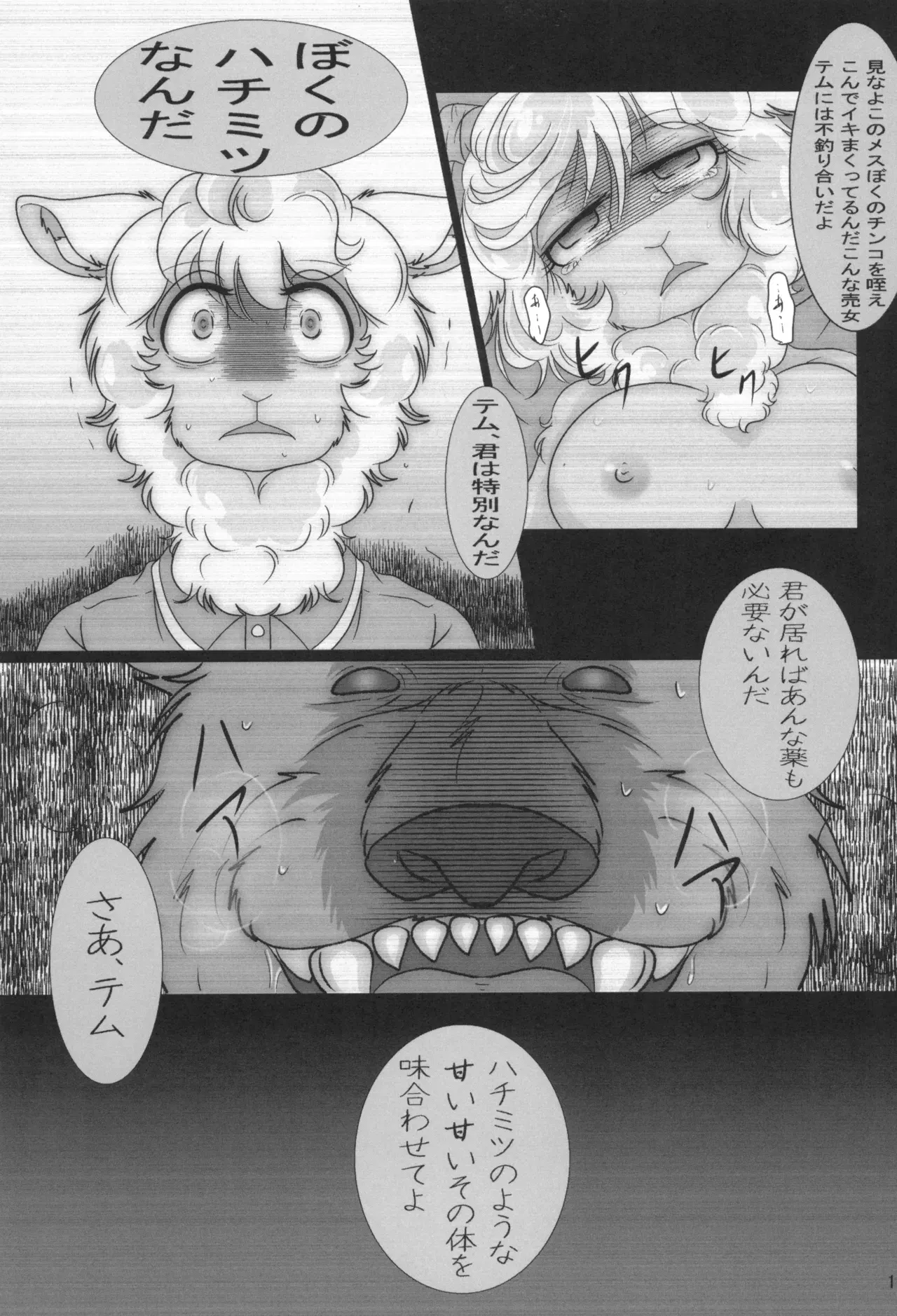 Image #21