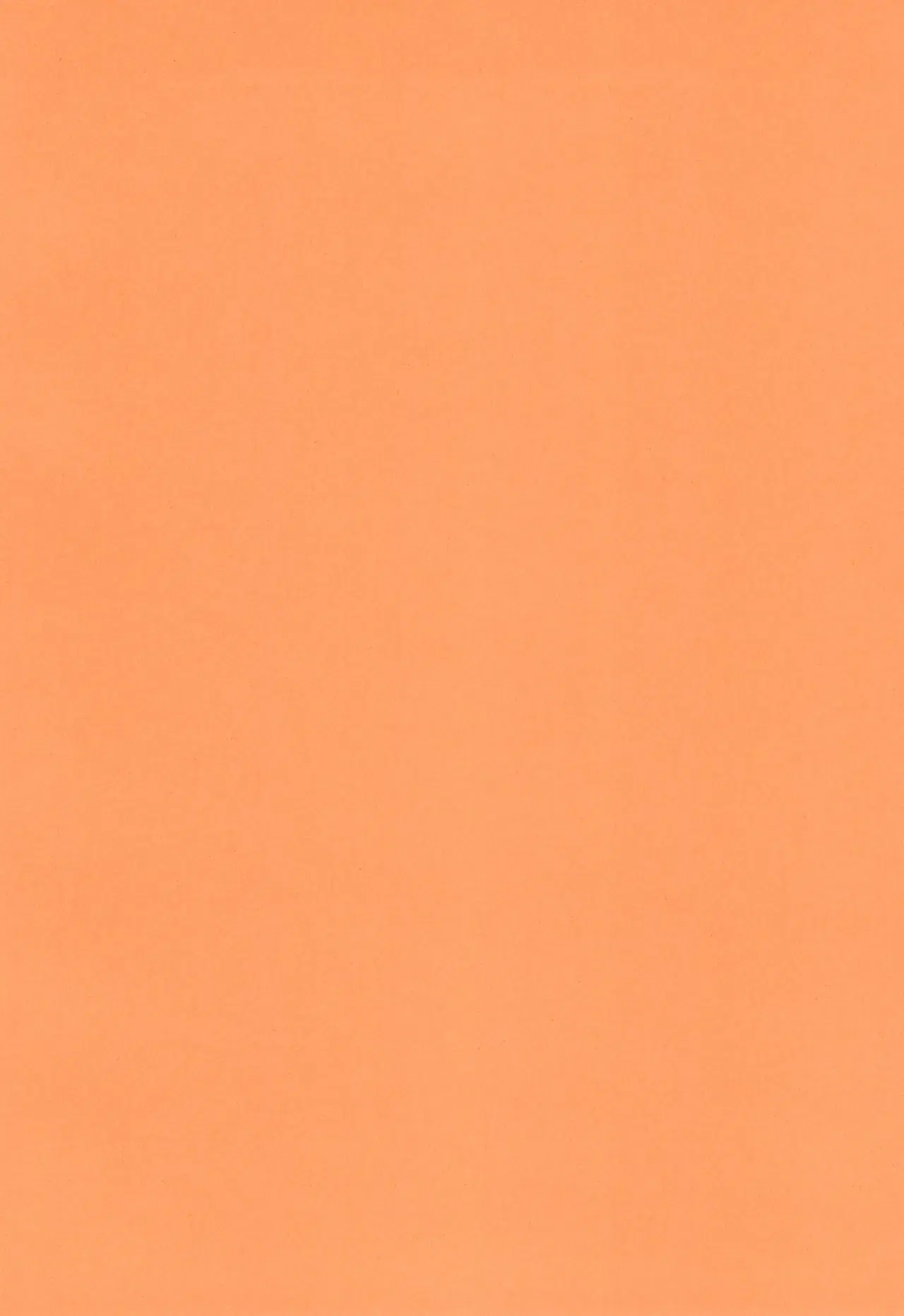 Image #24