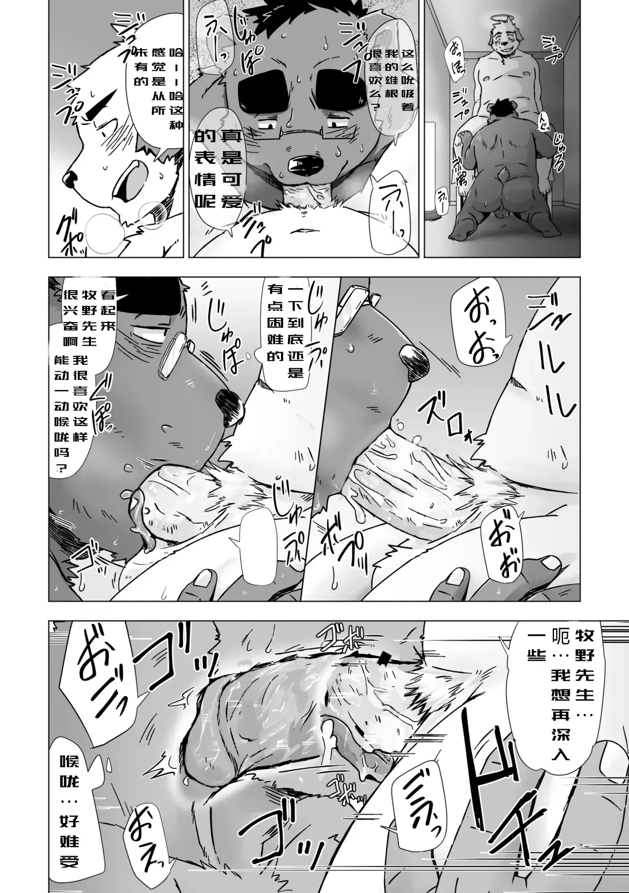 Image #11