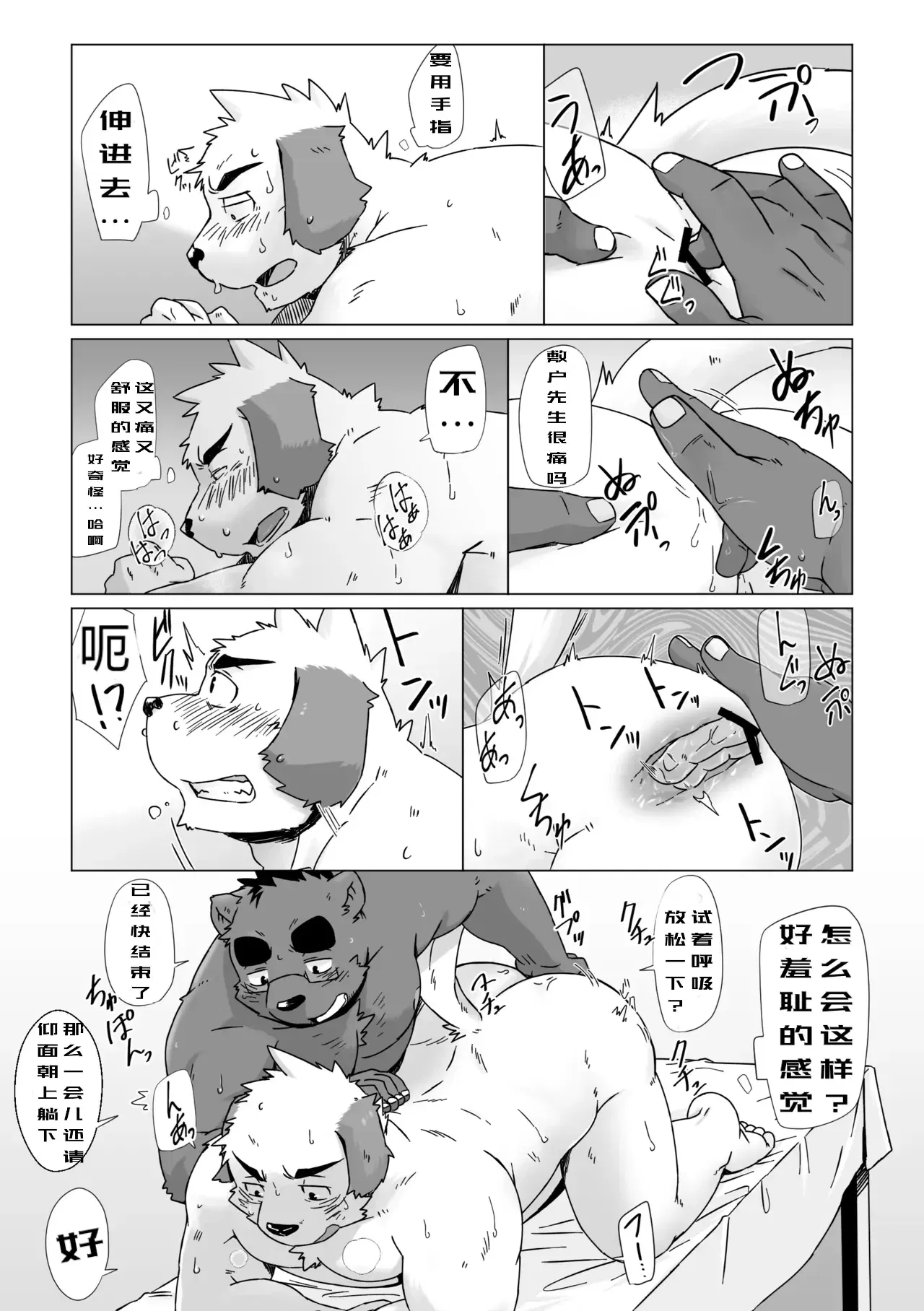 Image #8