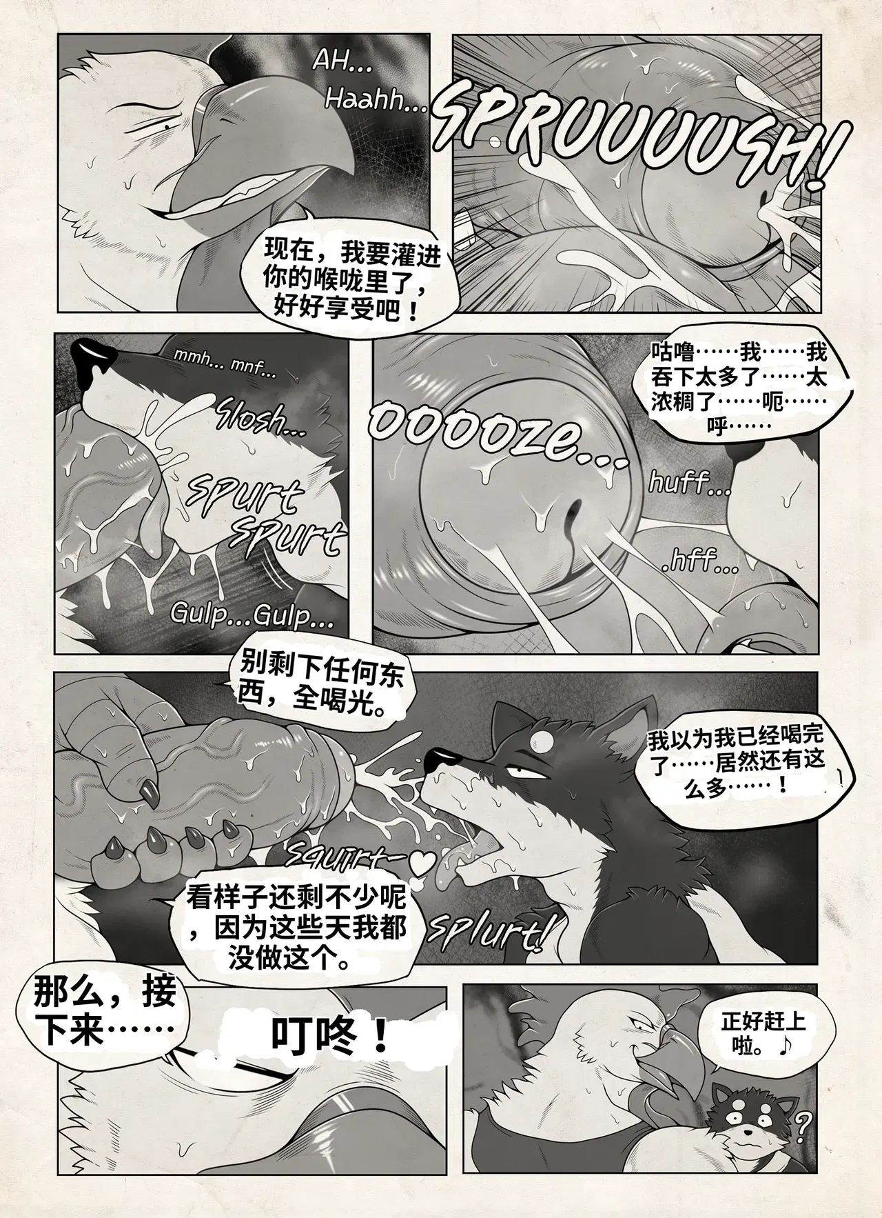Image #14