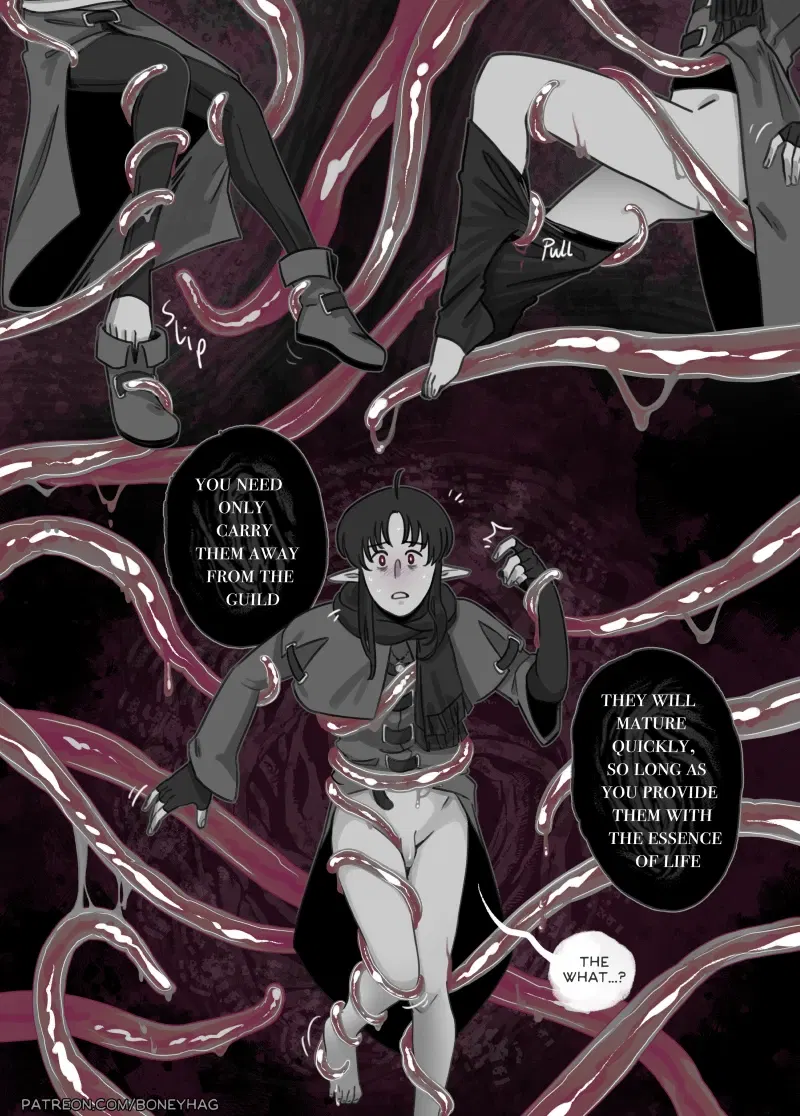 Image #16