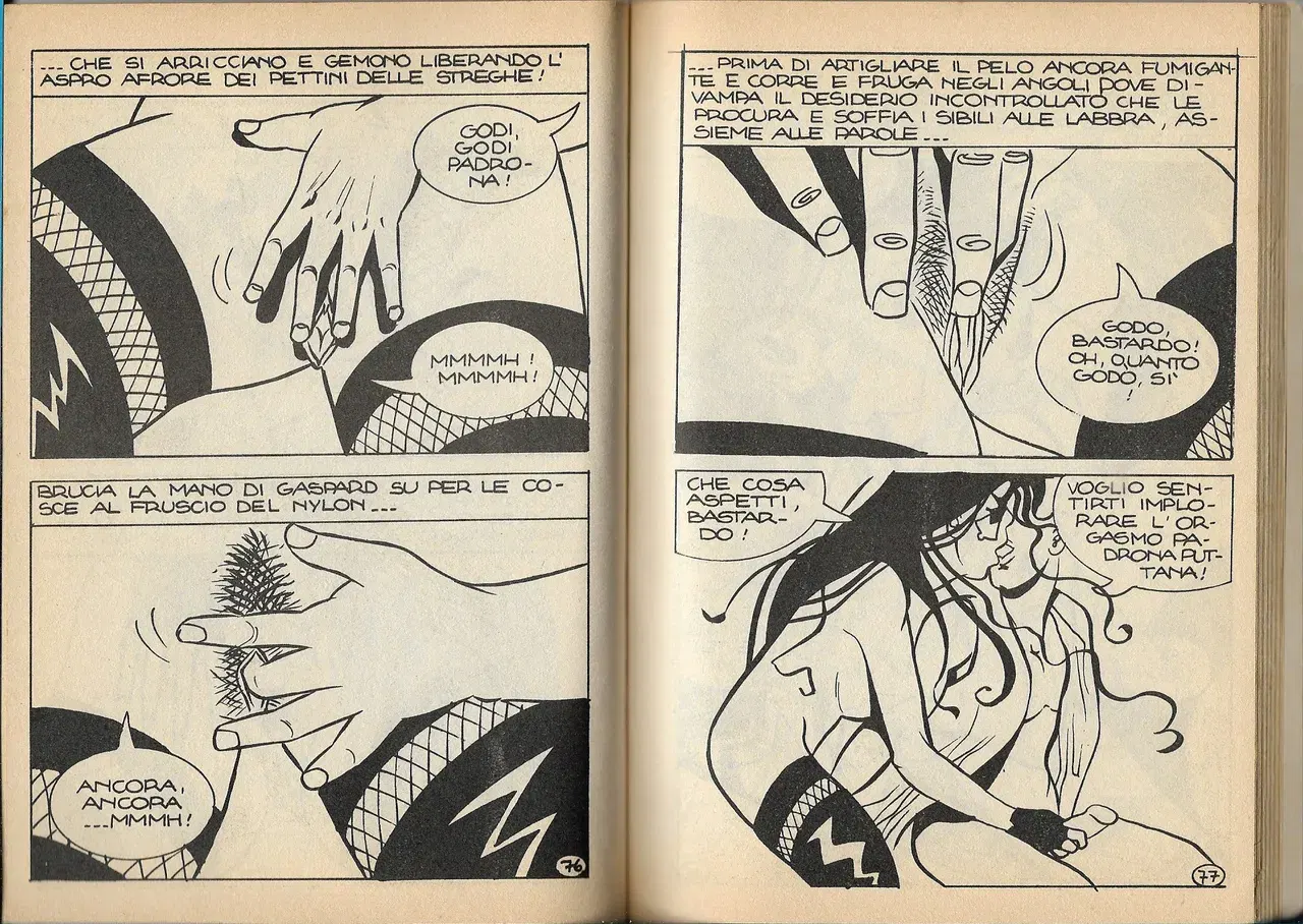 Image #41