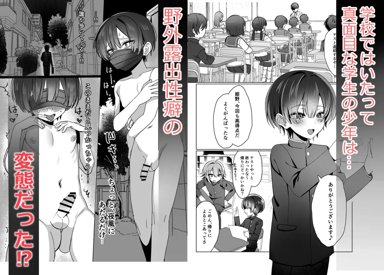 Image #548