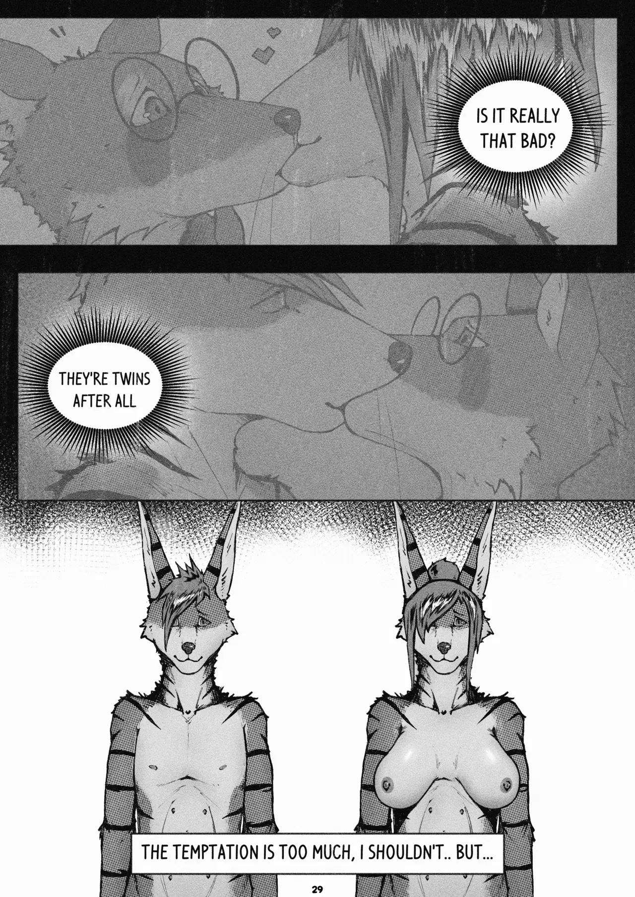 Image #29