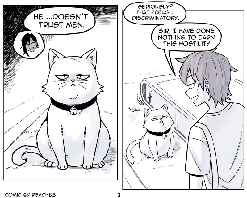 Image #51