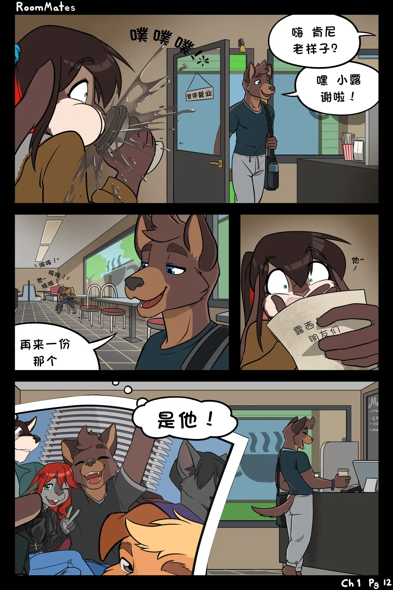 Image #12