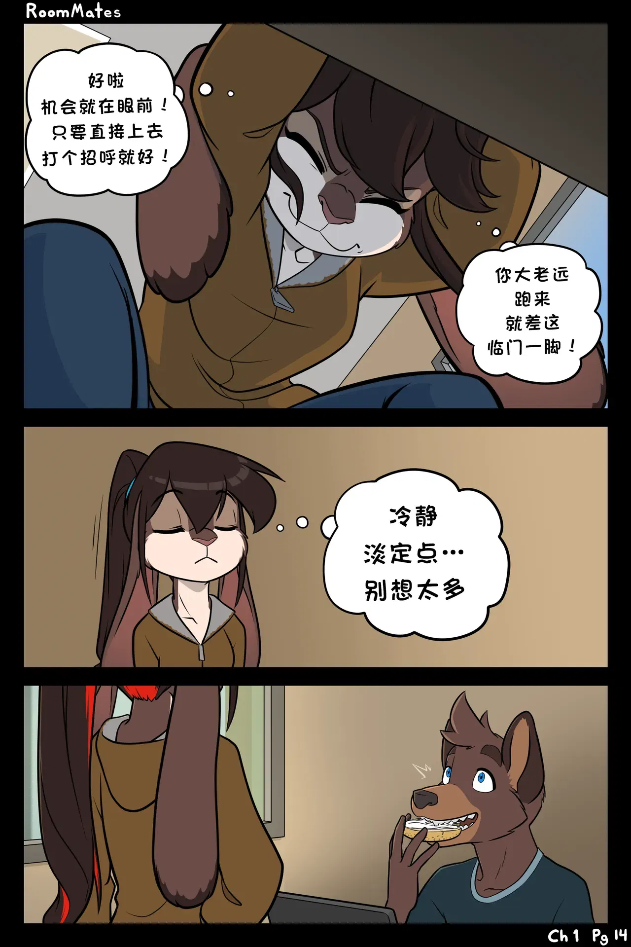 Image #14