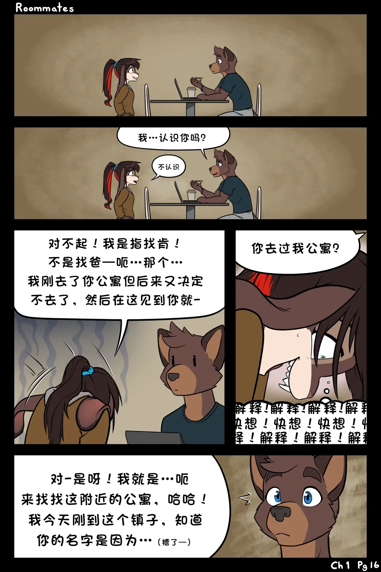 Image #16