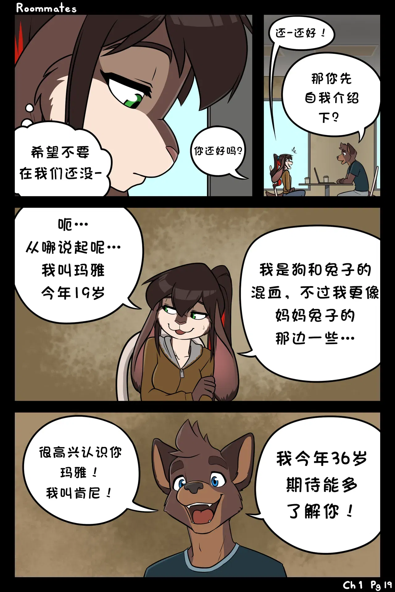 Image #19