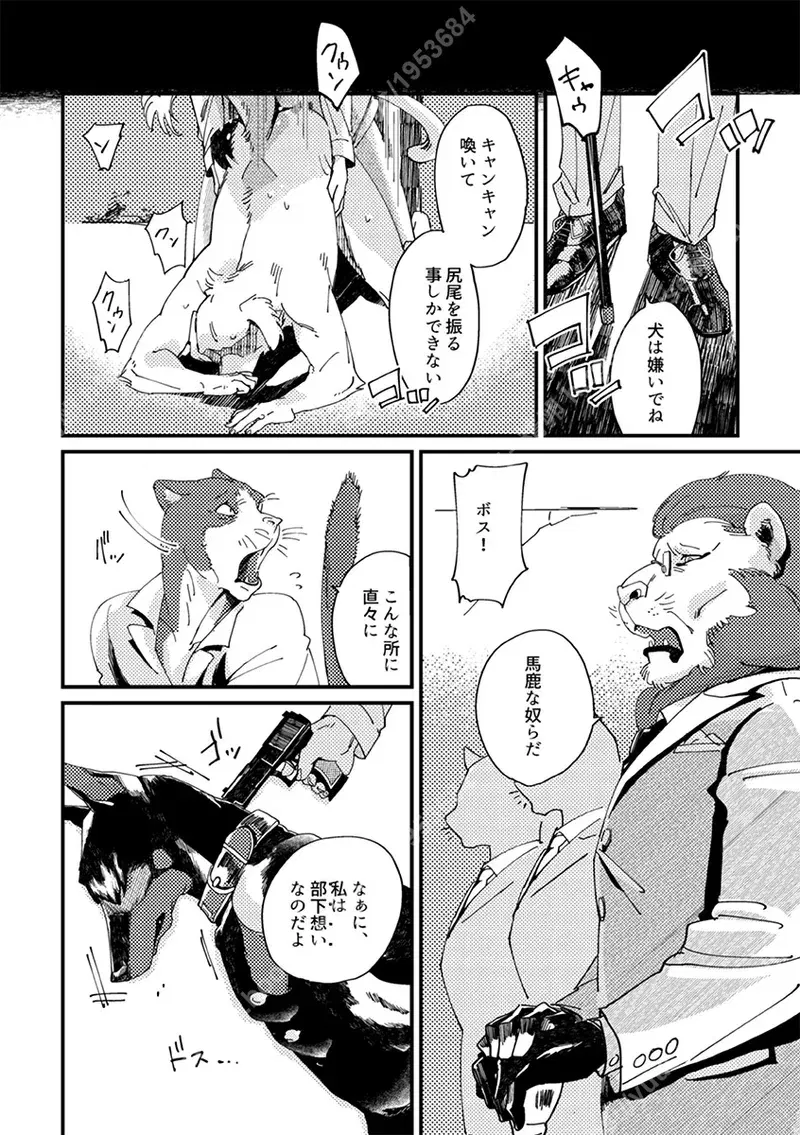 Image #11
