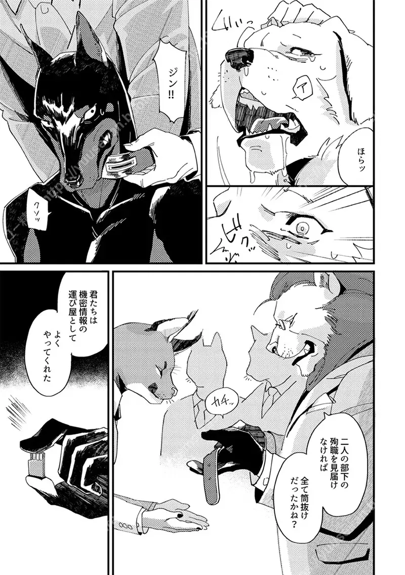 Image #12