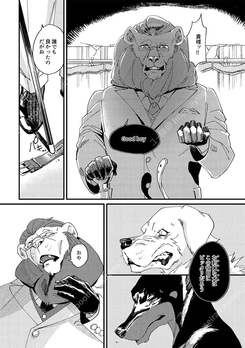 Image #13