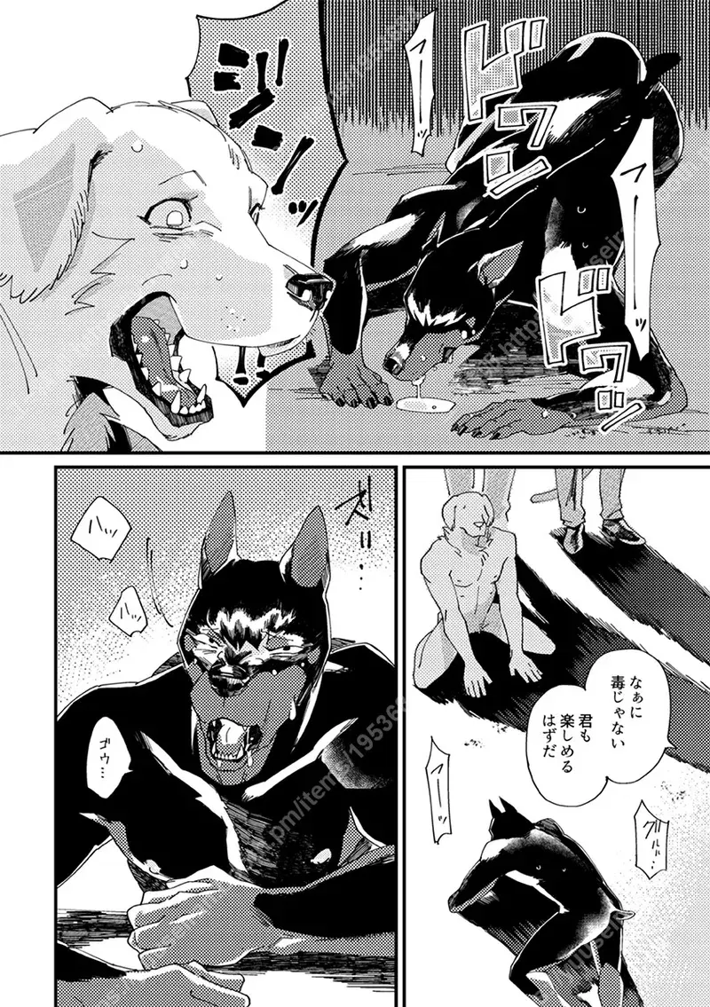 Image #15