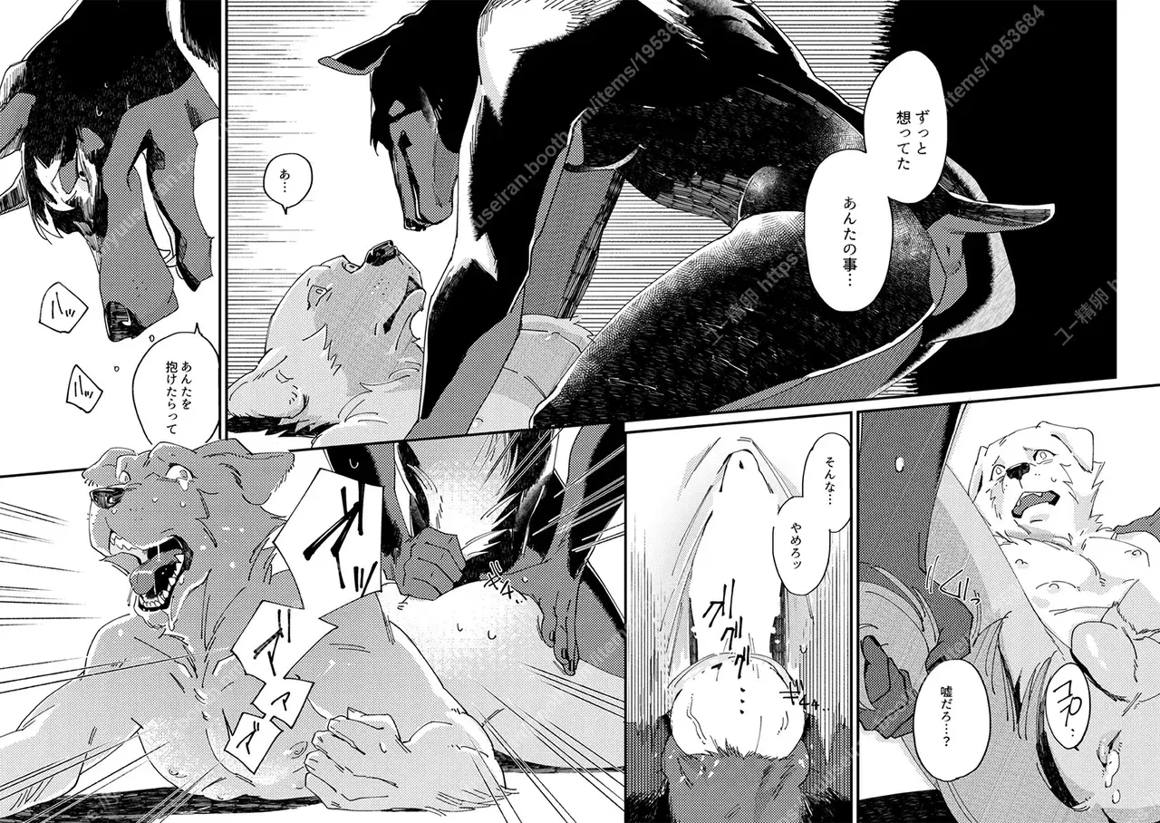 Image #17
