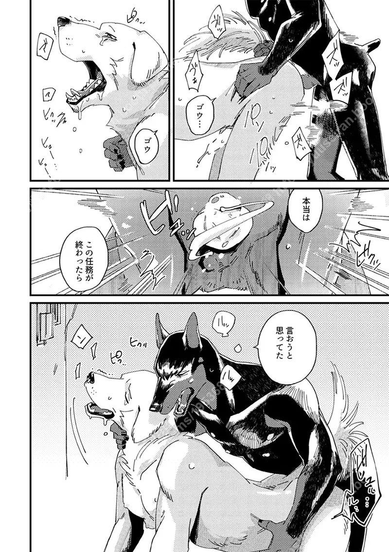 Image #18