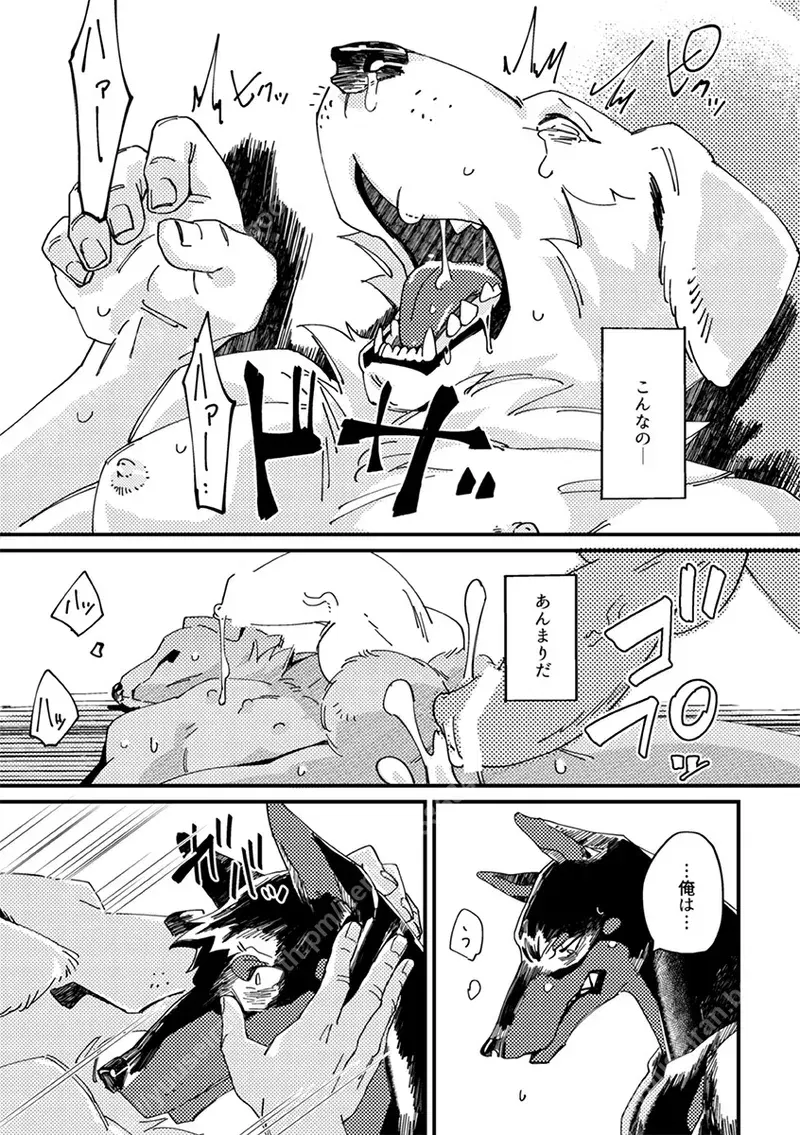 Image #21