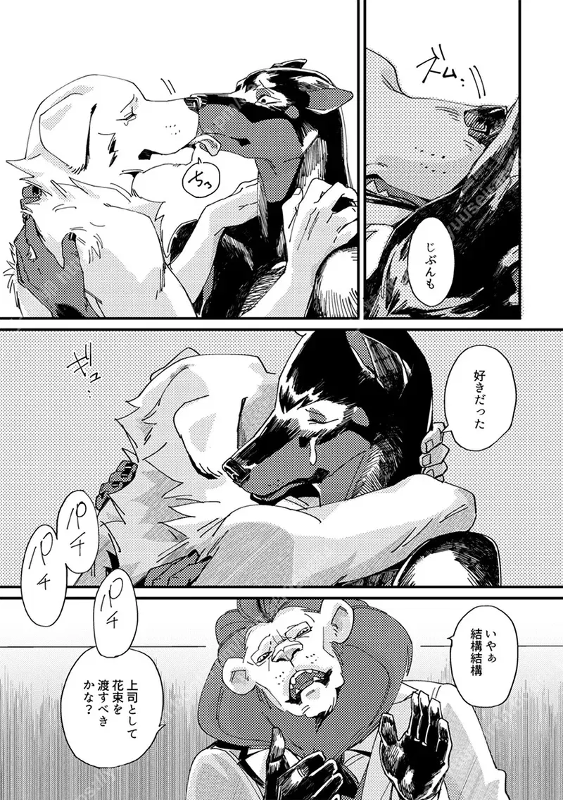 Image #22