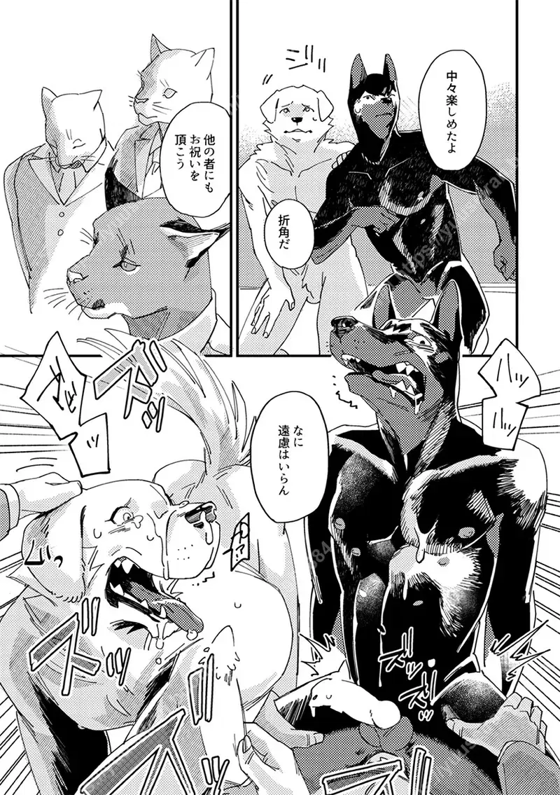 Image #23