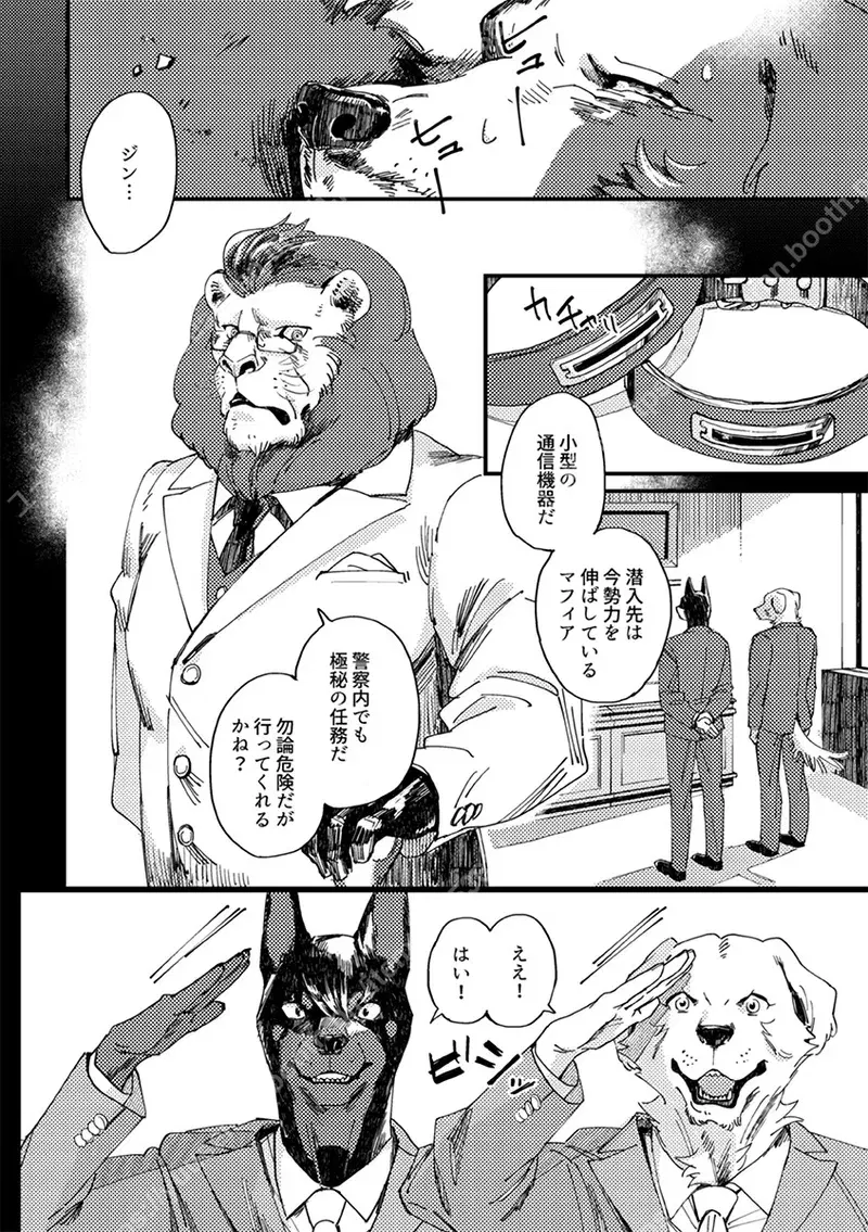 Image #5