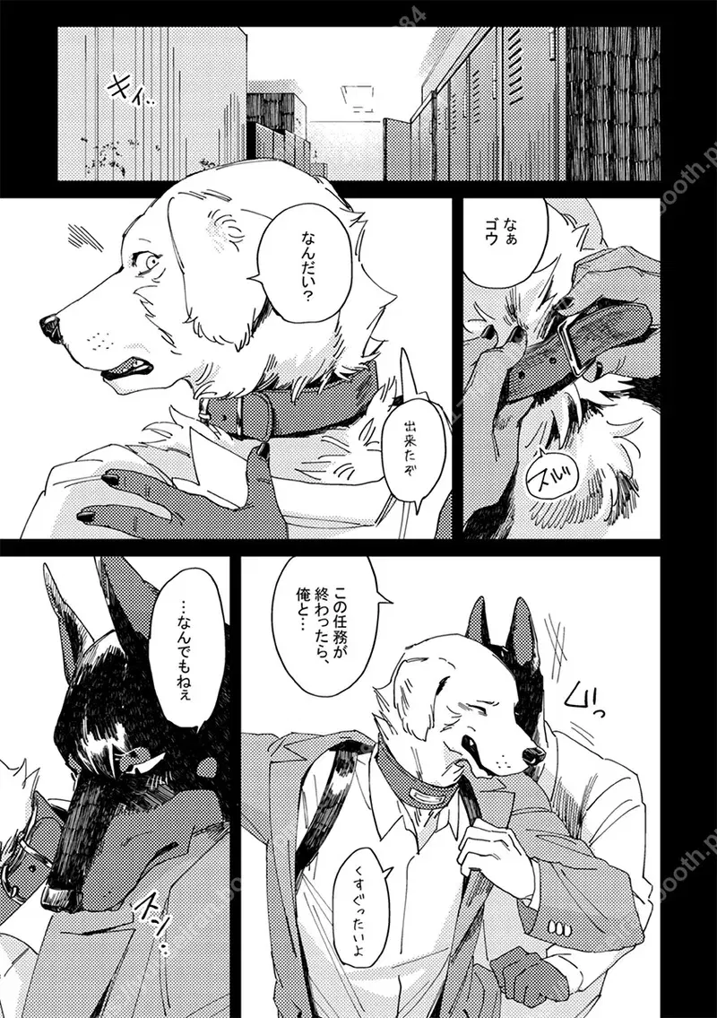 Image #6