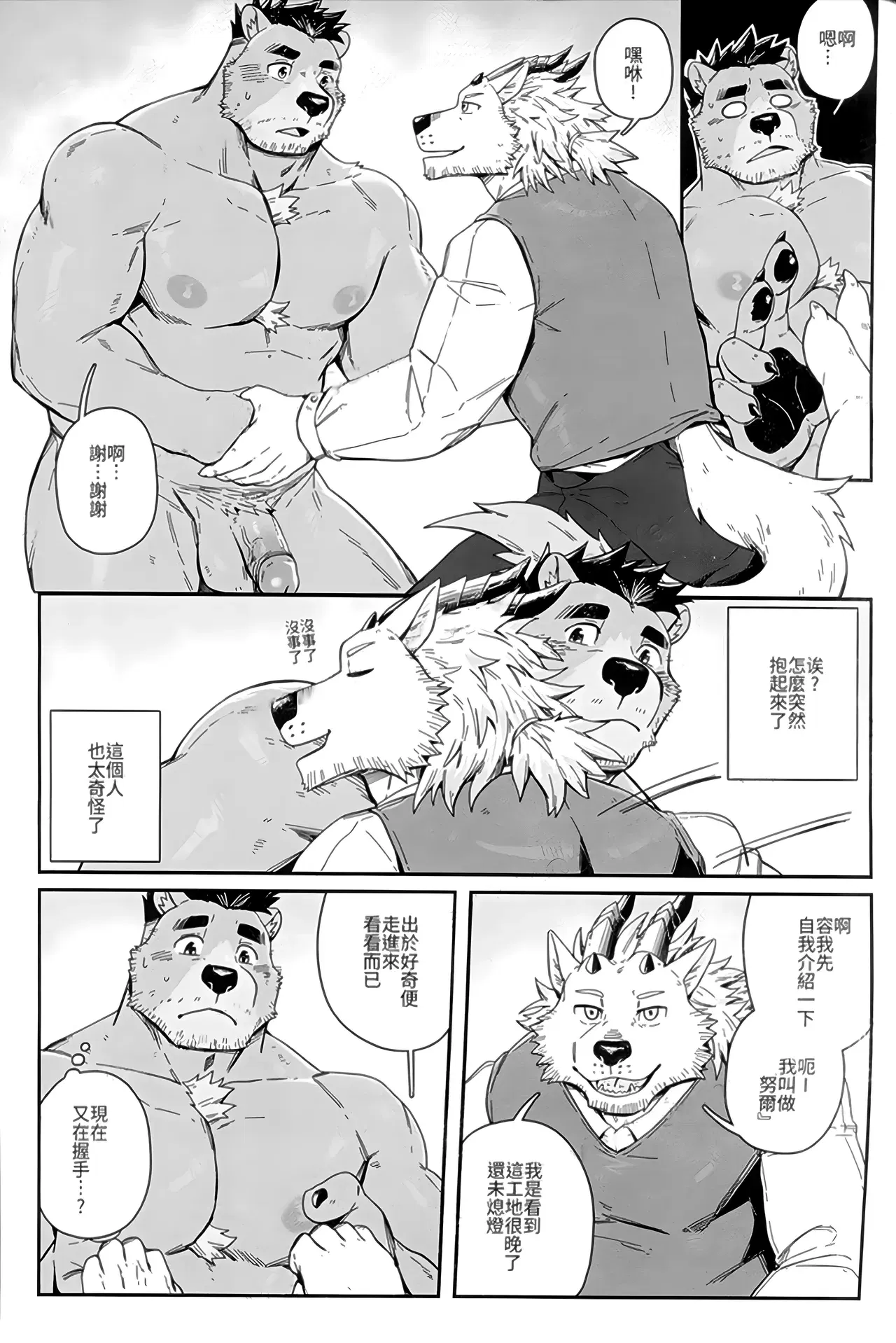 Image #11