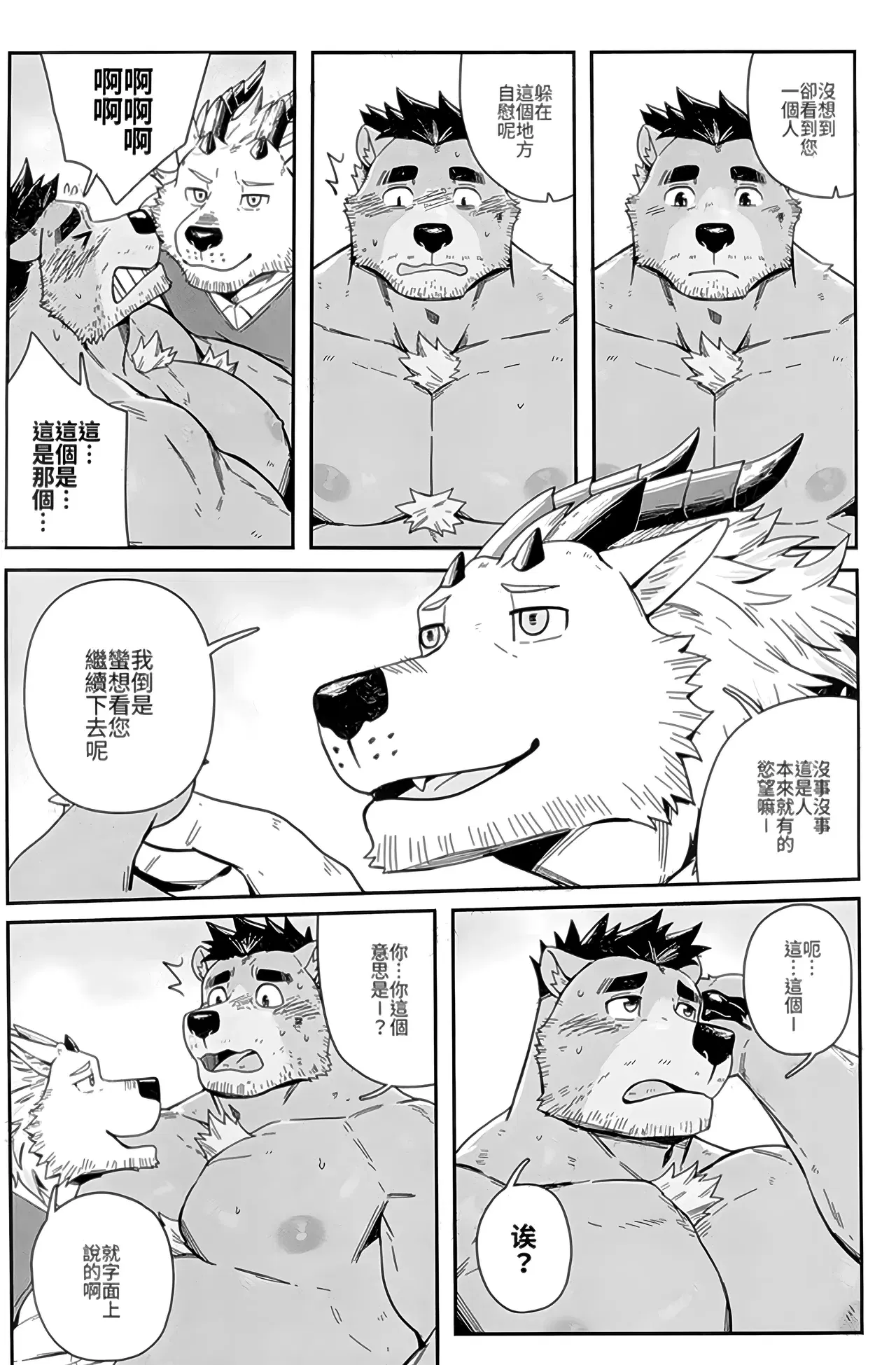 Image #12