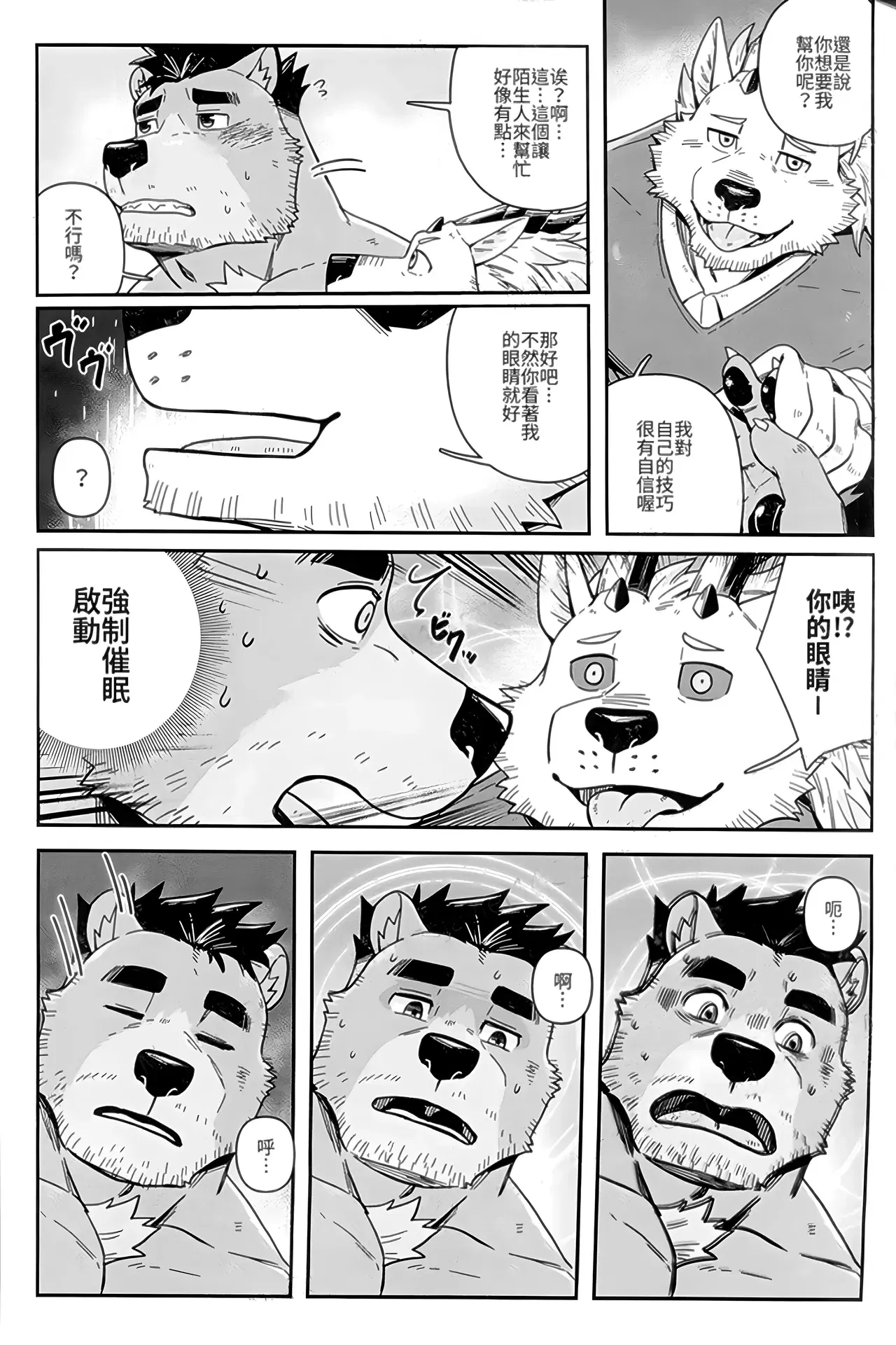 Image #13
