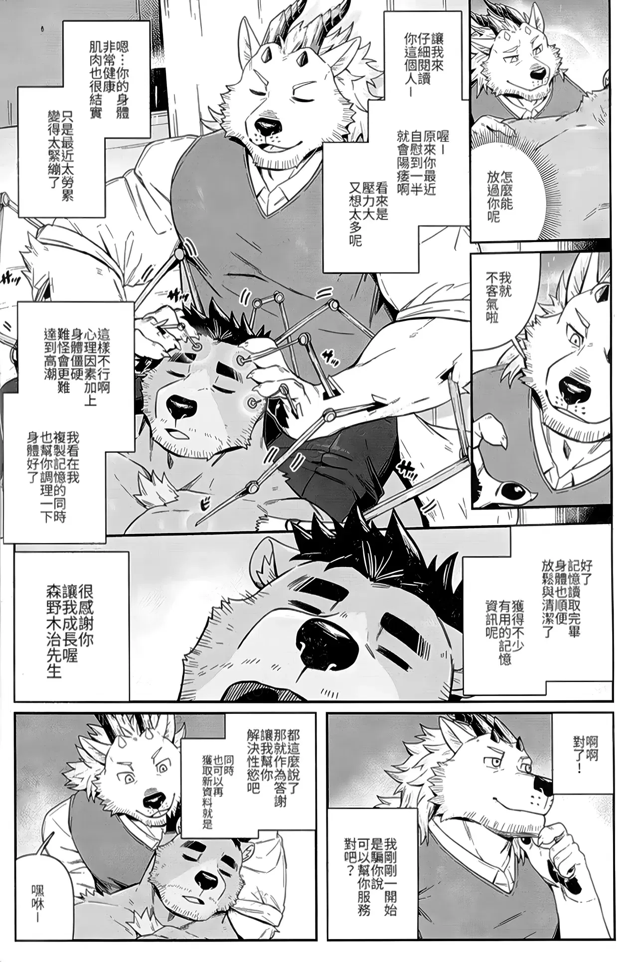 Image #14