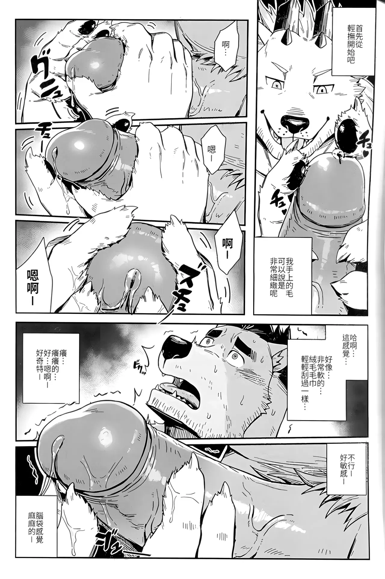 Image #17