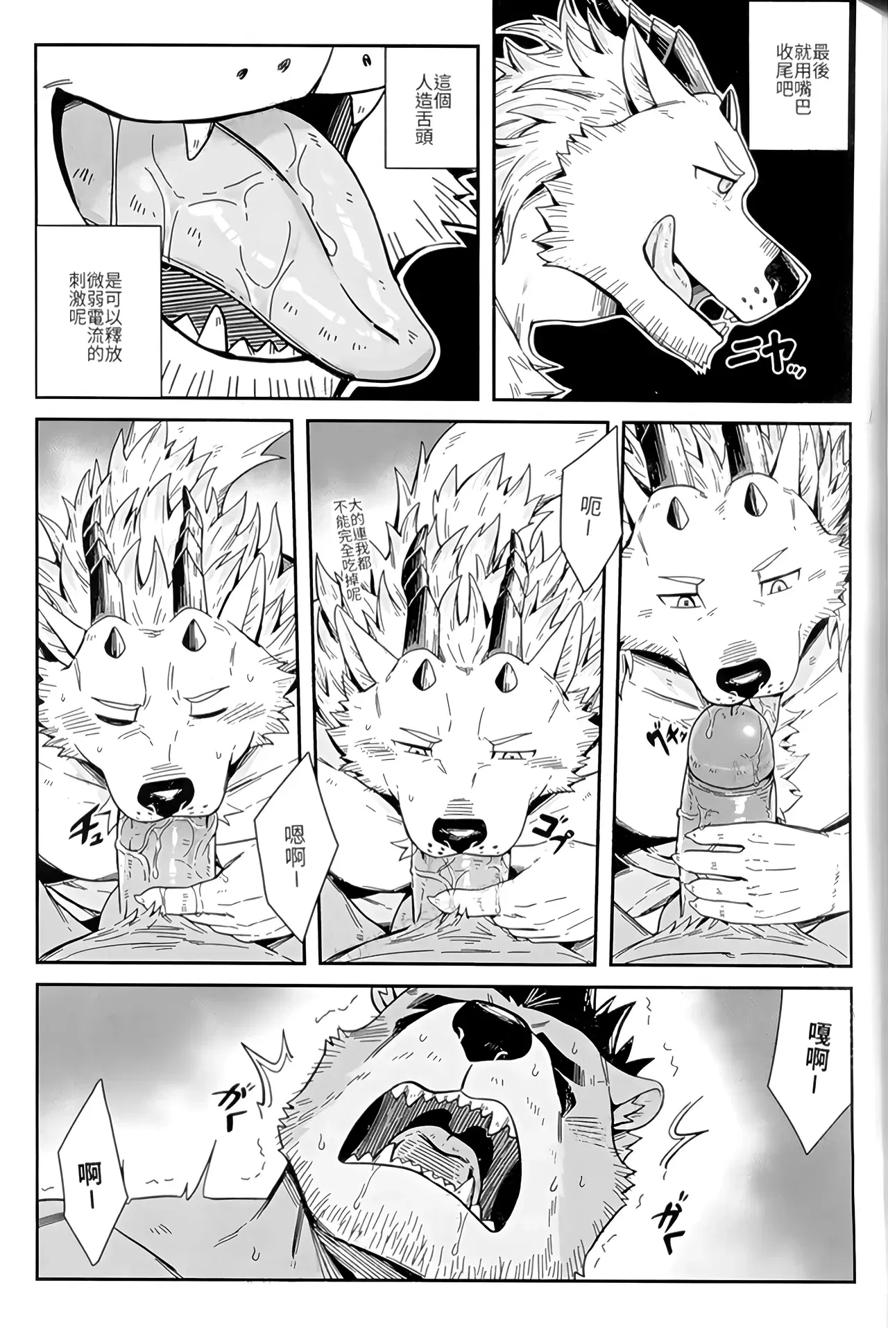 Image #19