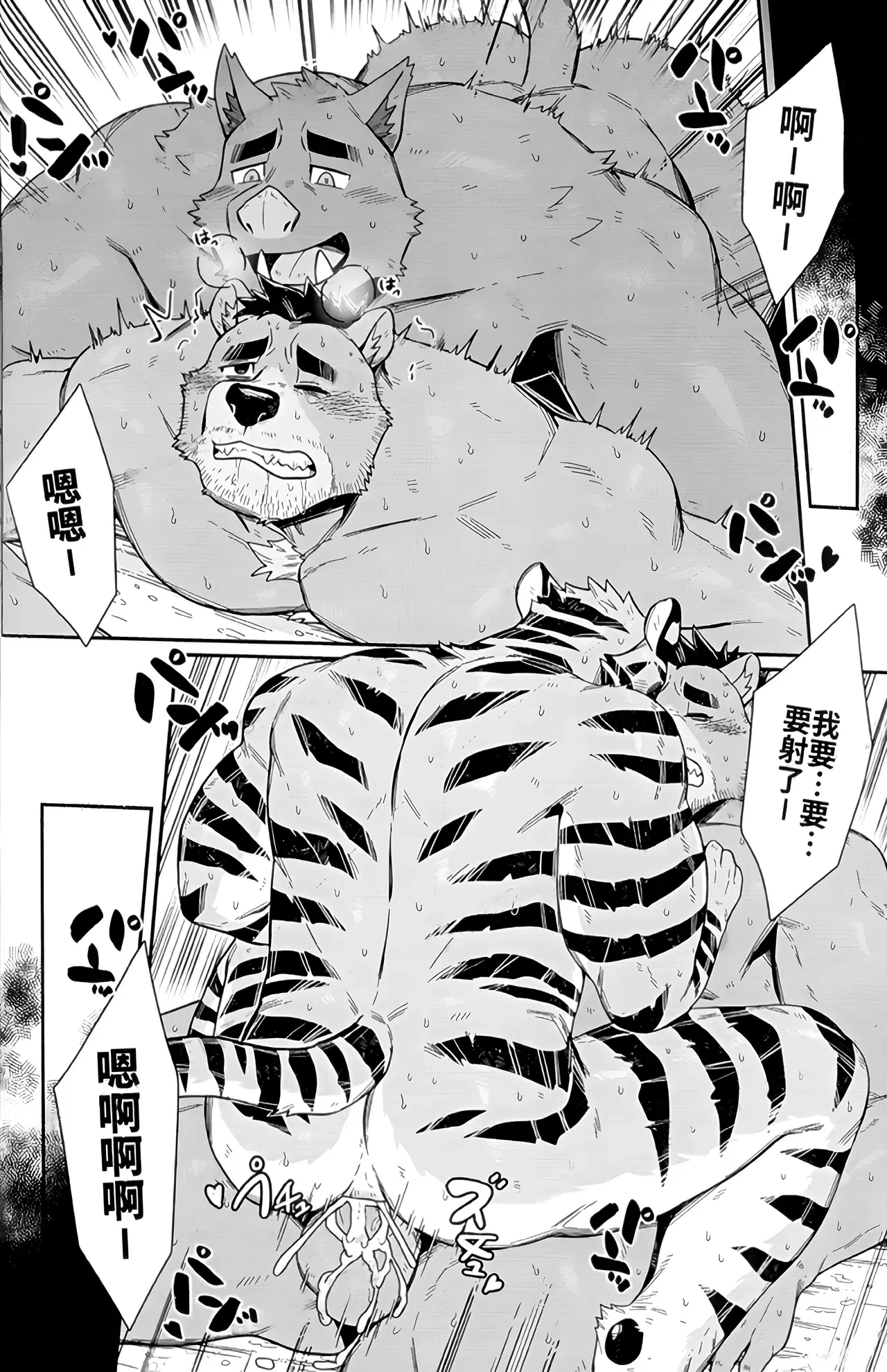 Image #42