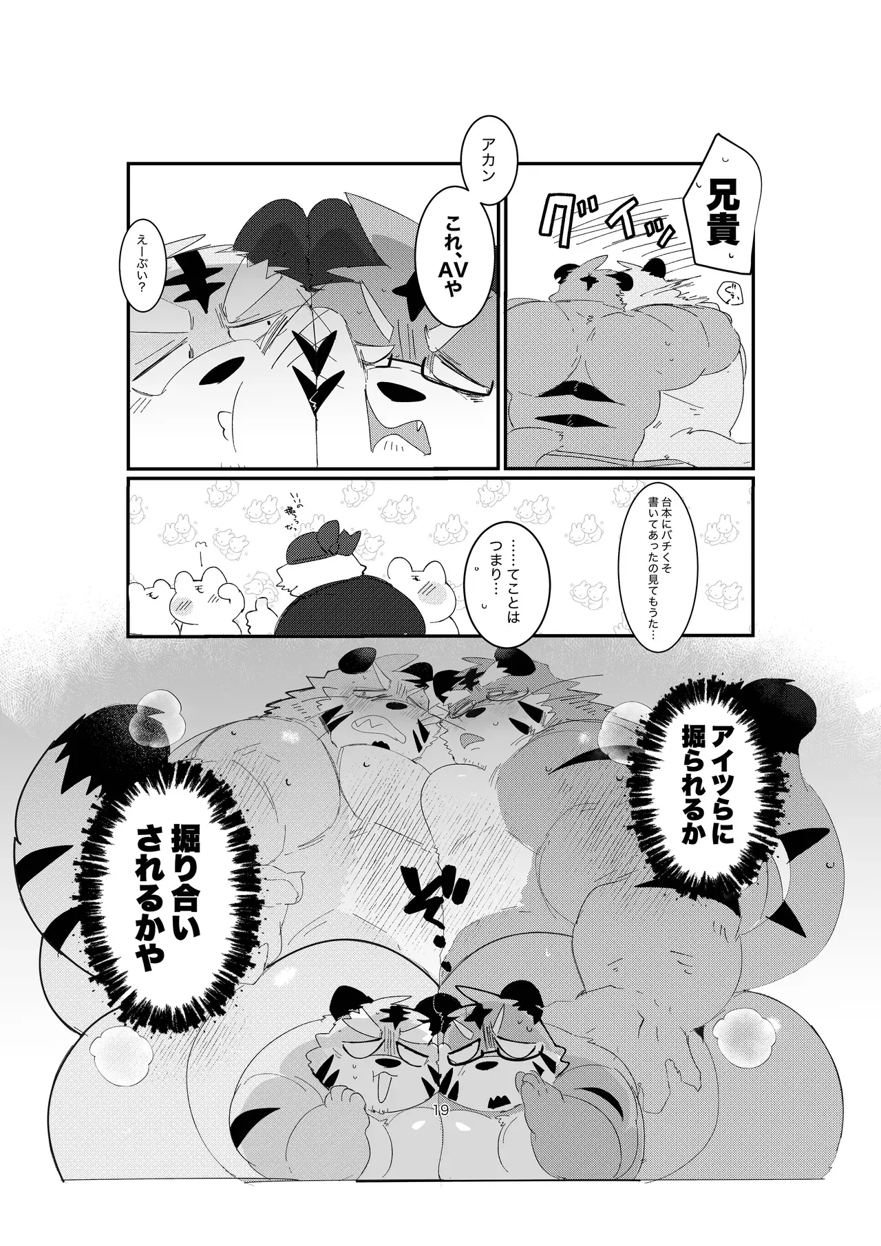 Image #19