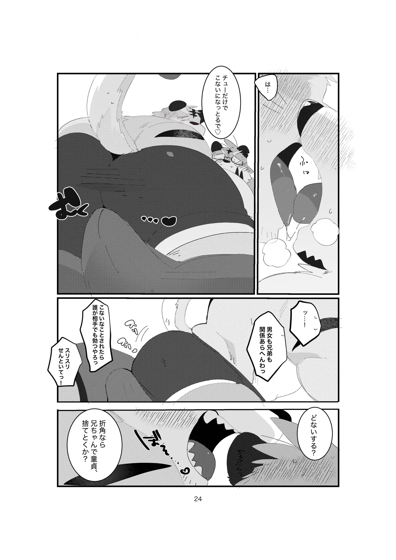 Image #24