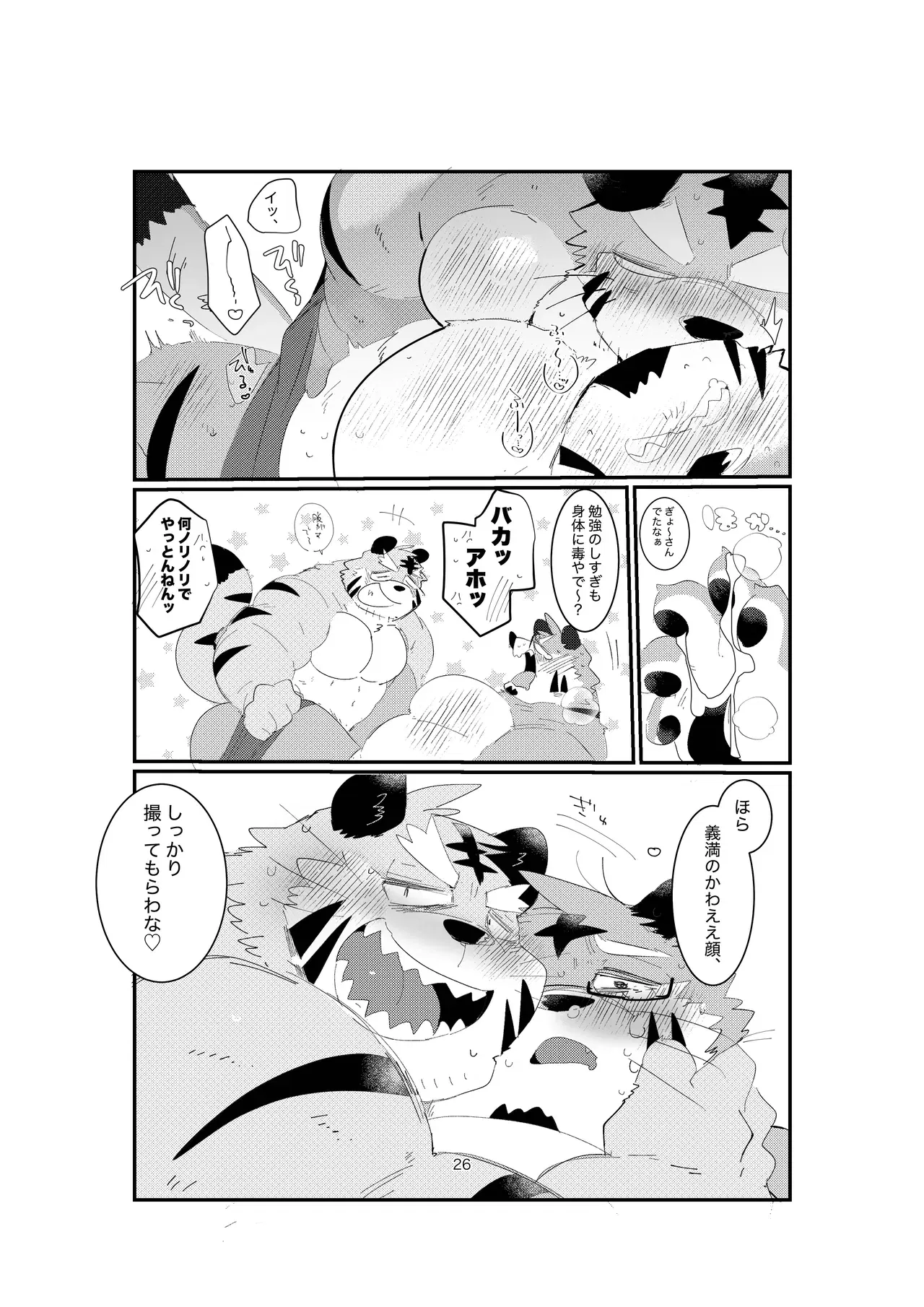 Image #26