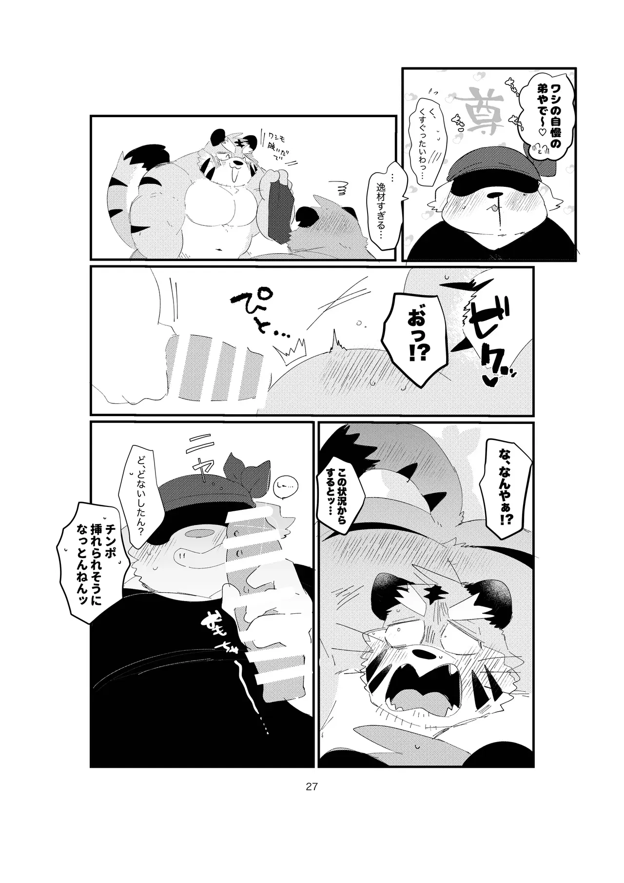 Image #27