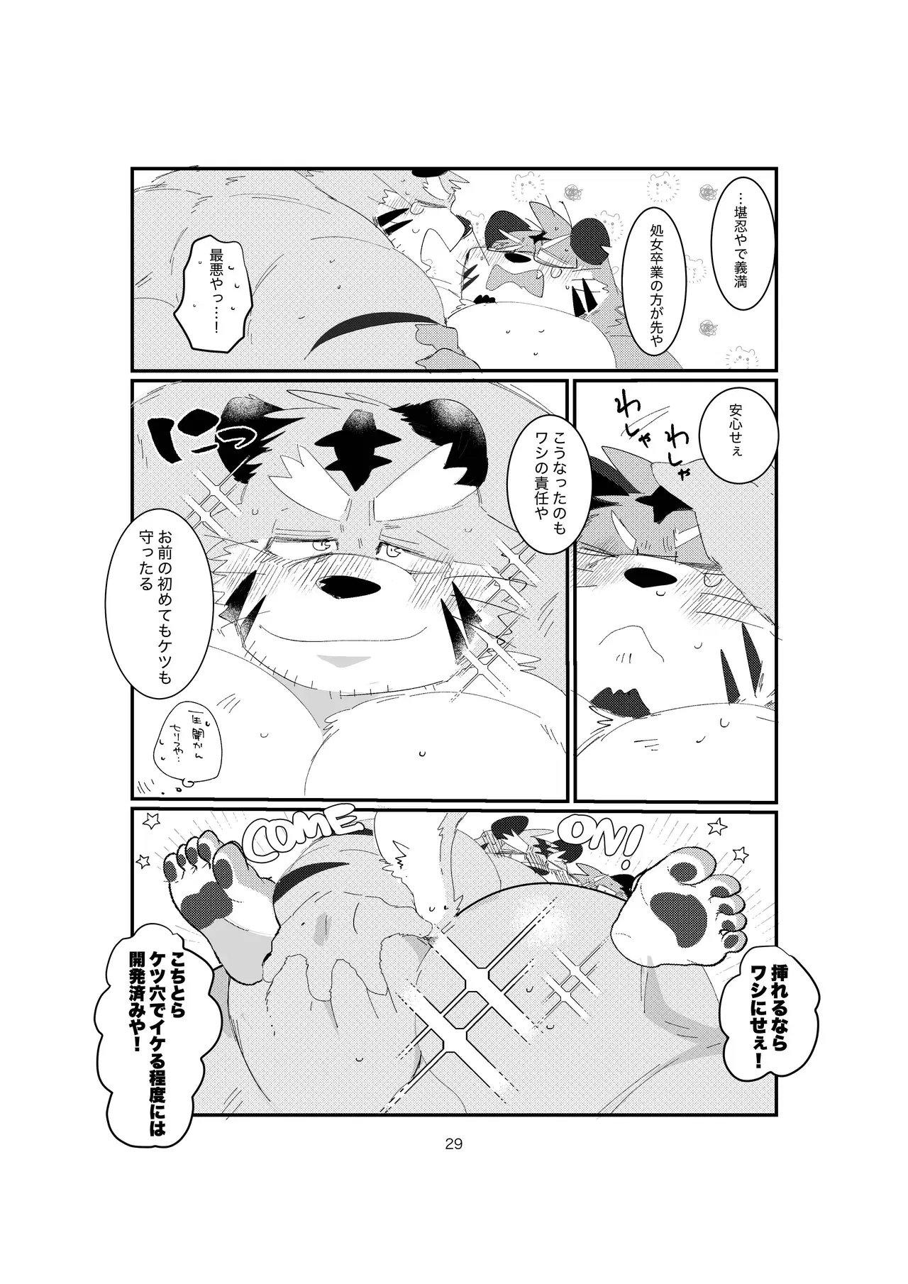 Image #29