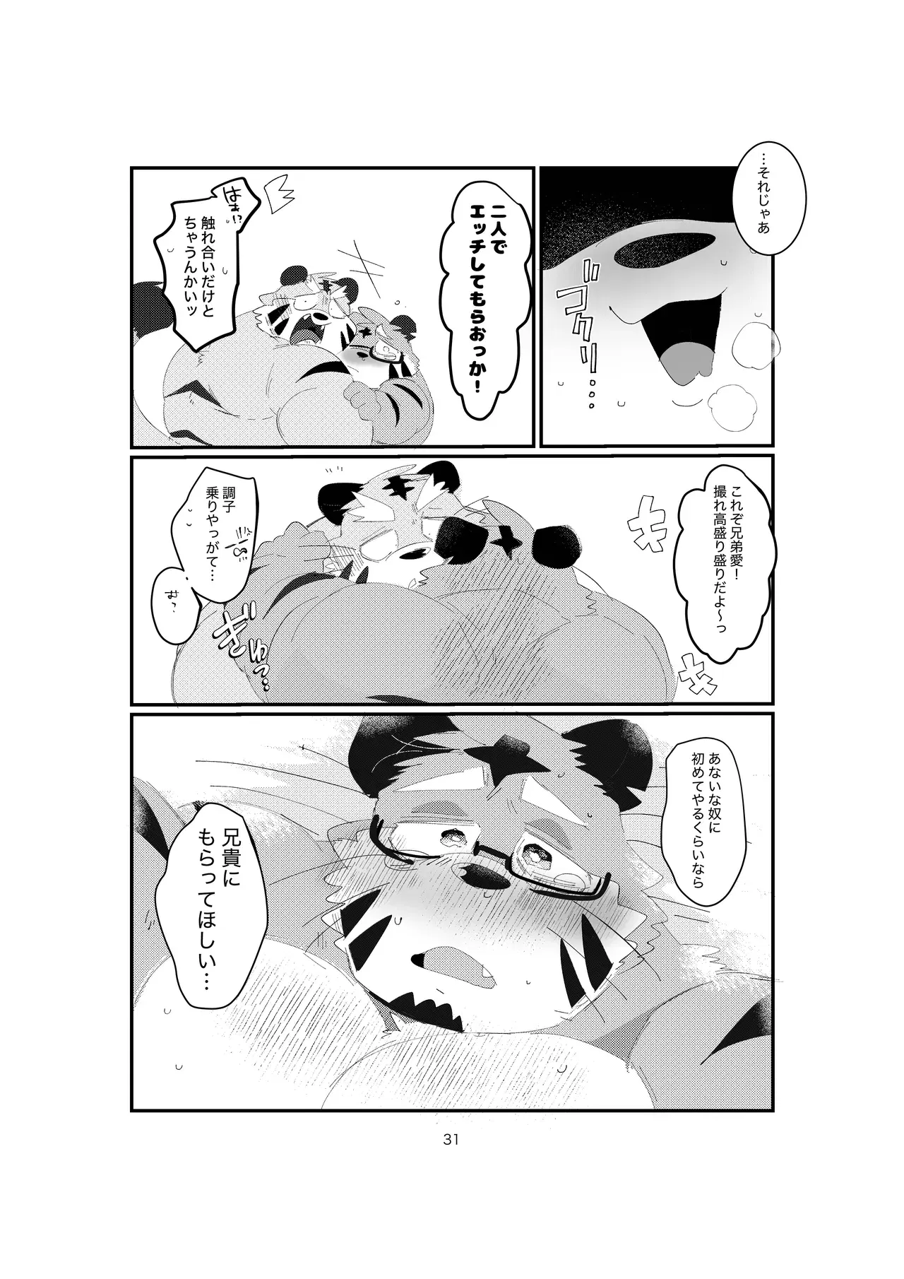 Image #31