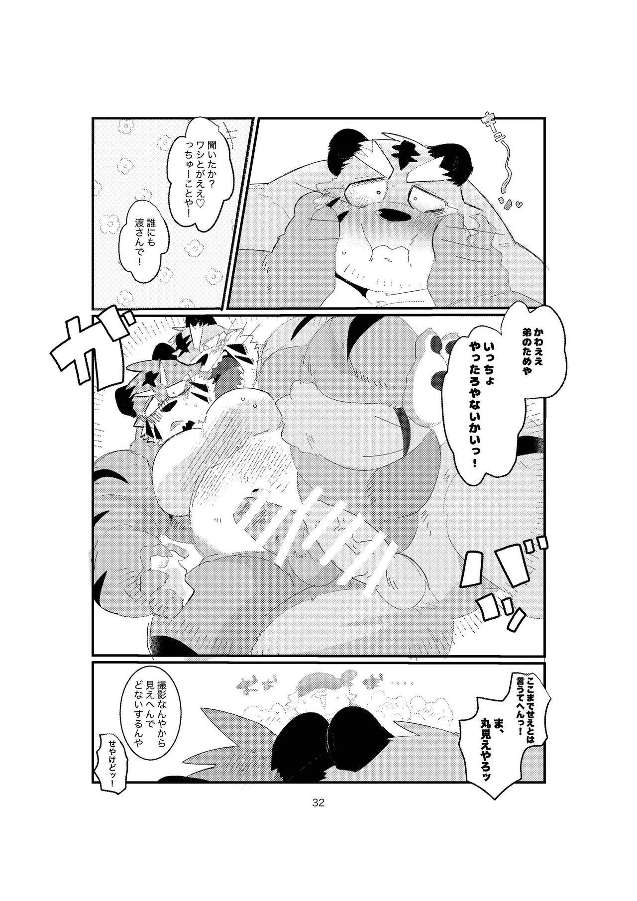 Image #32