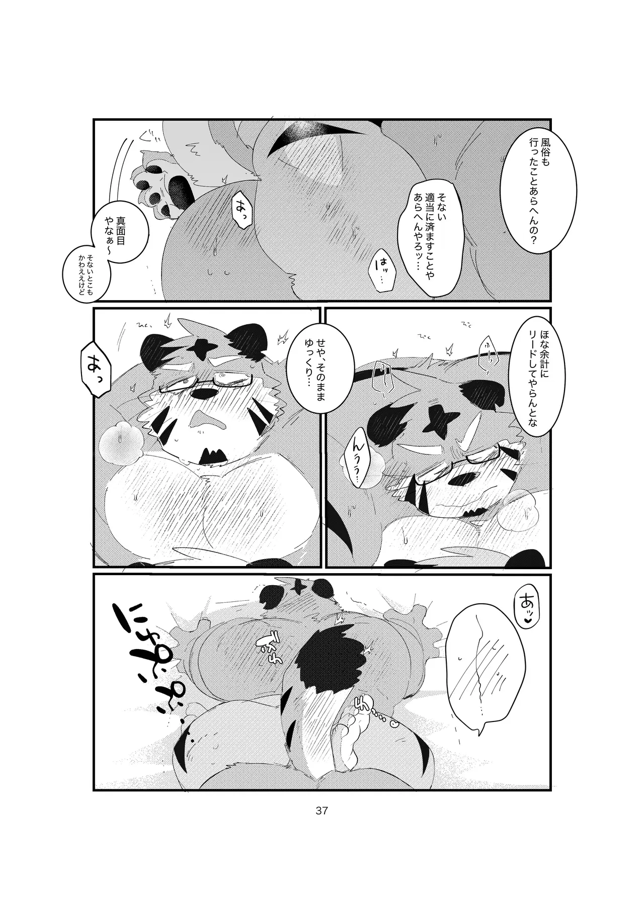 Image #37