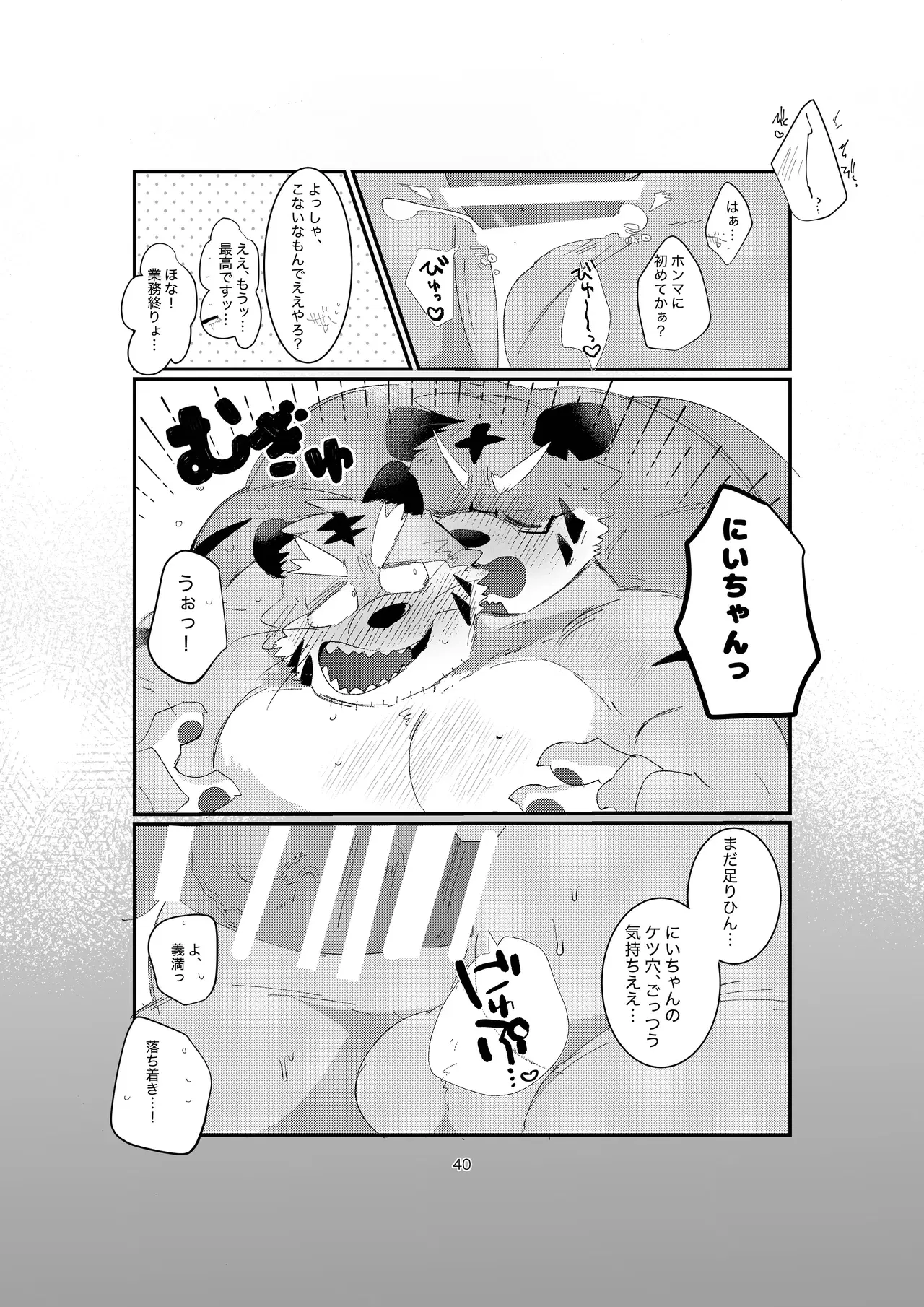 Image #40