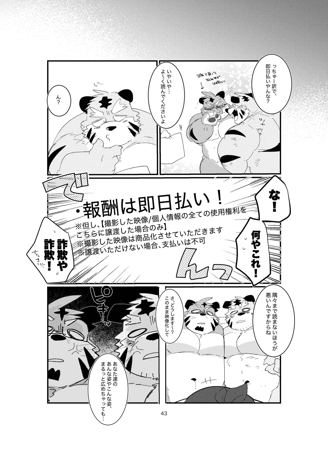 Image #43