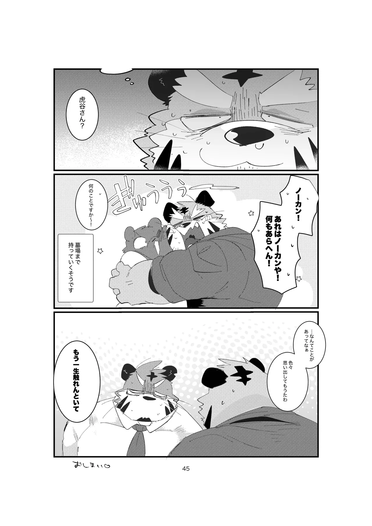Image #45