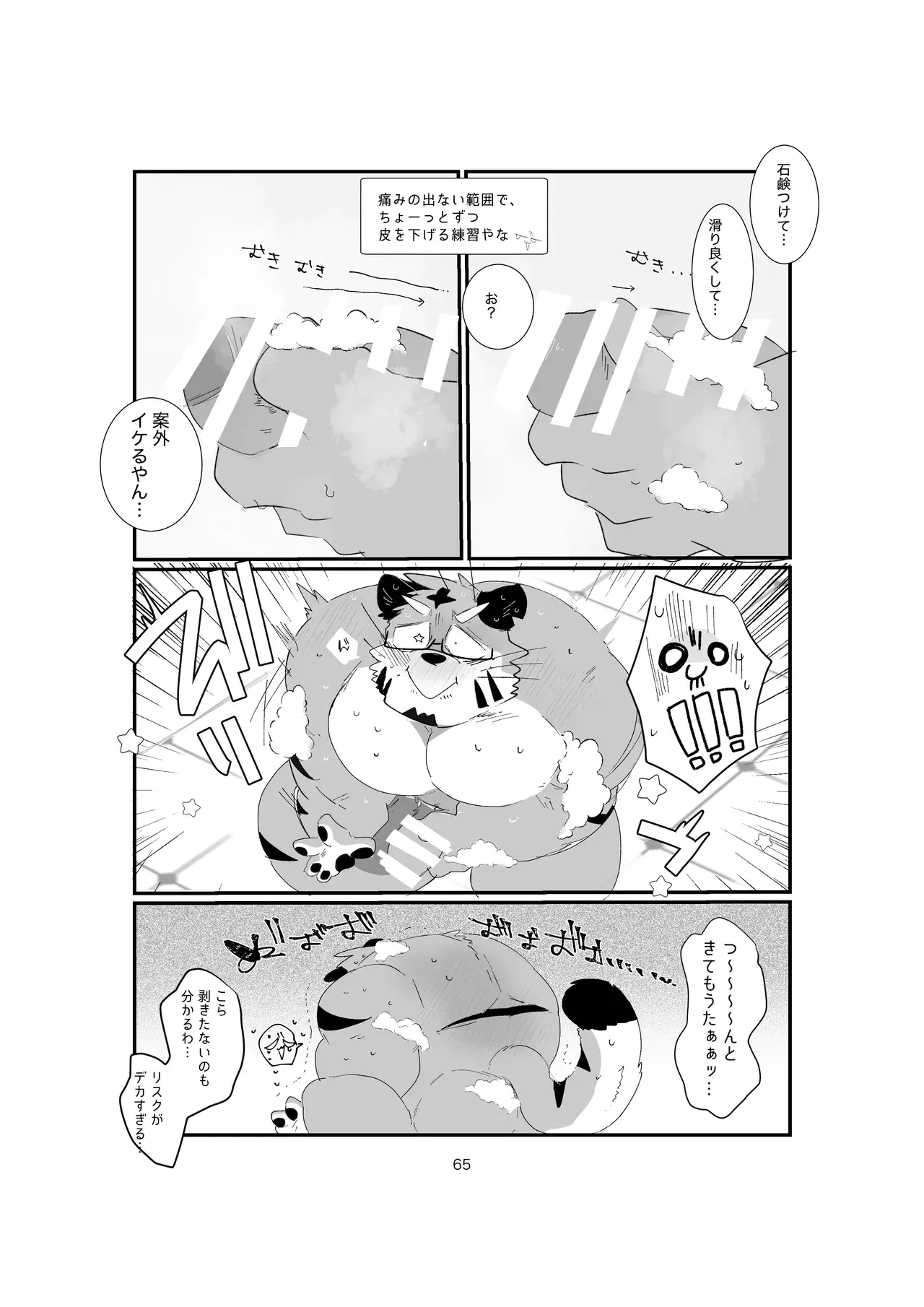 Image #65