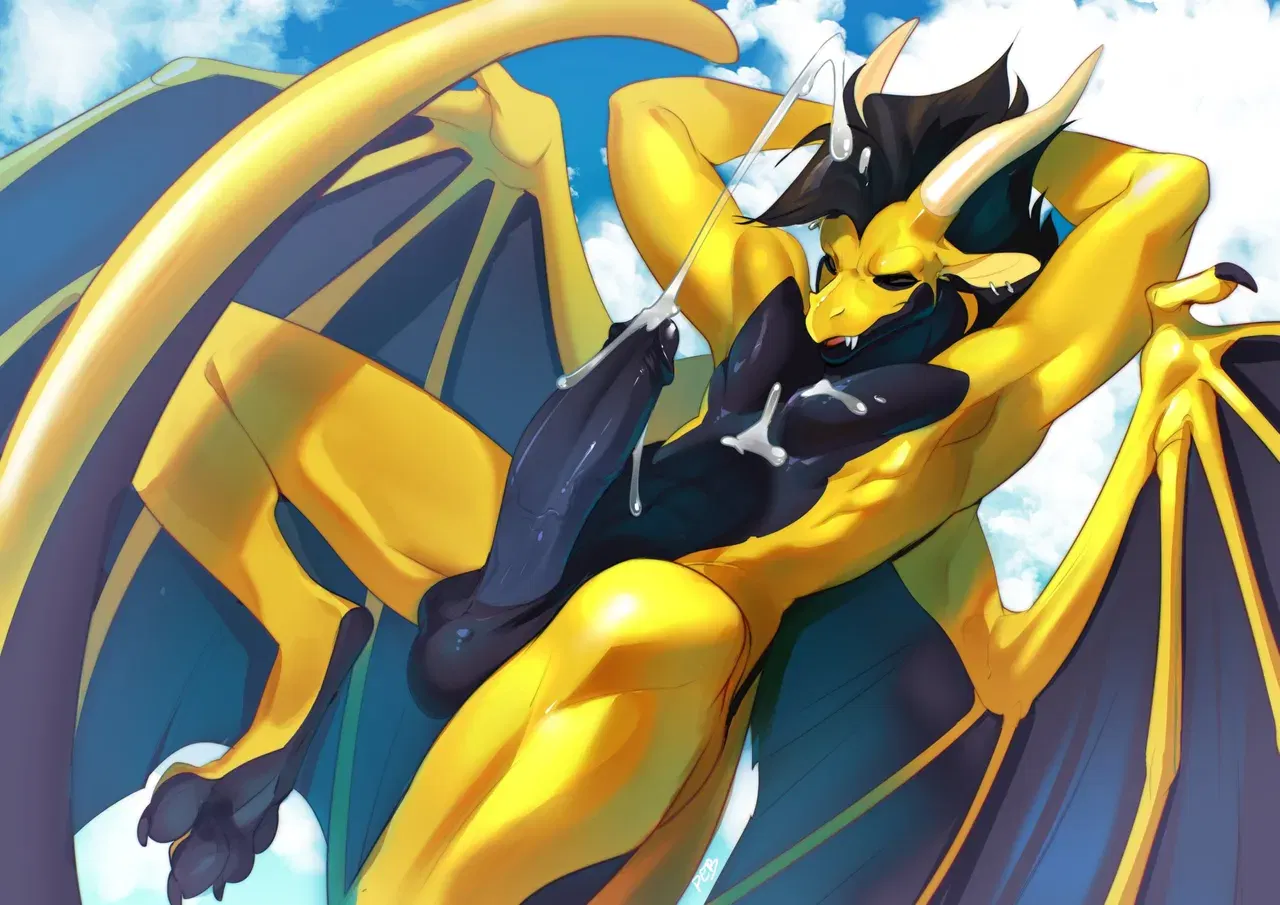 Image #527