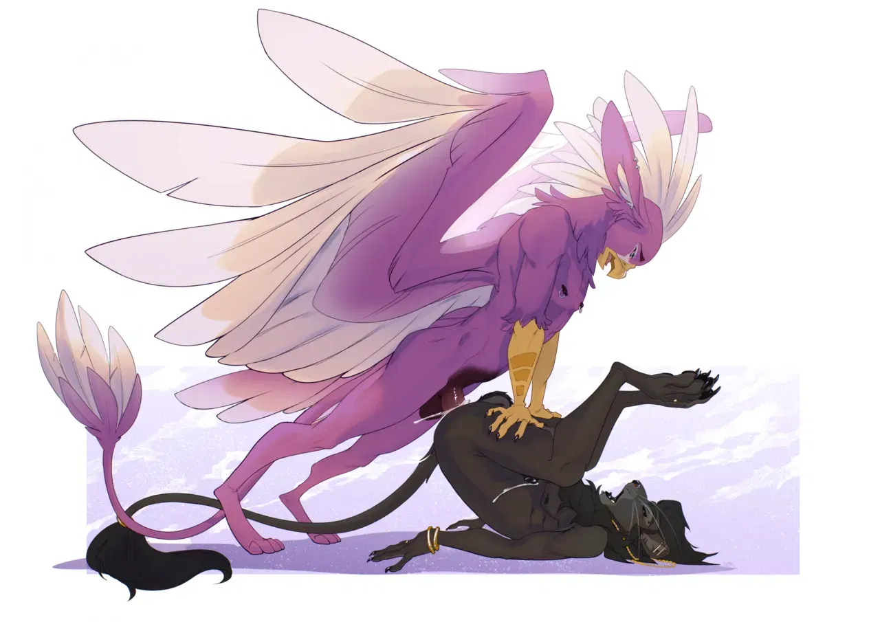 Image #572