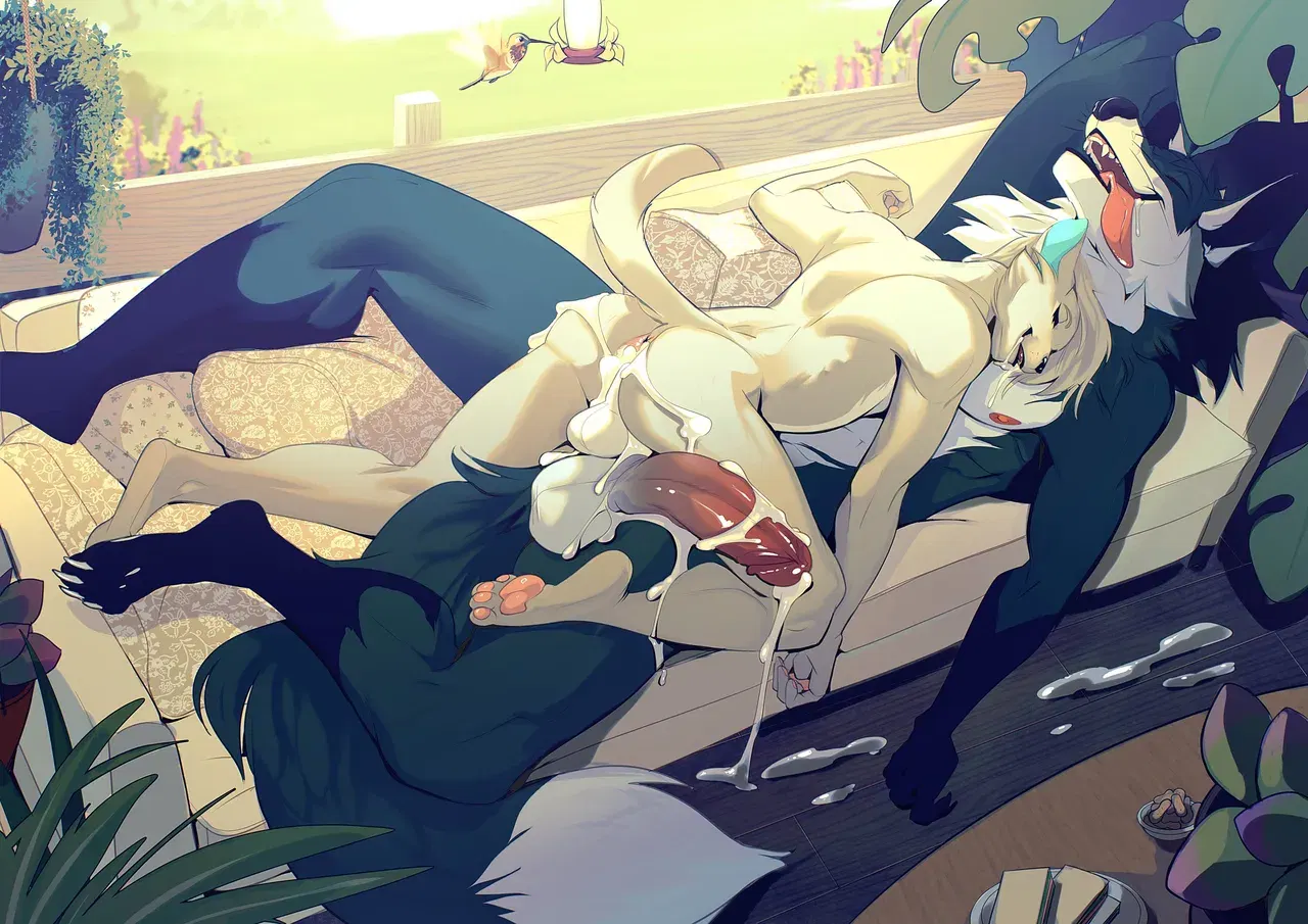 Image #585